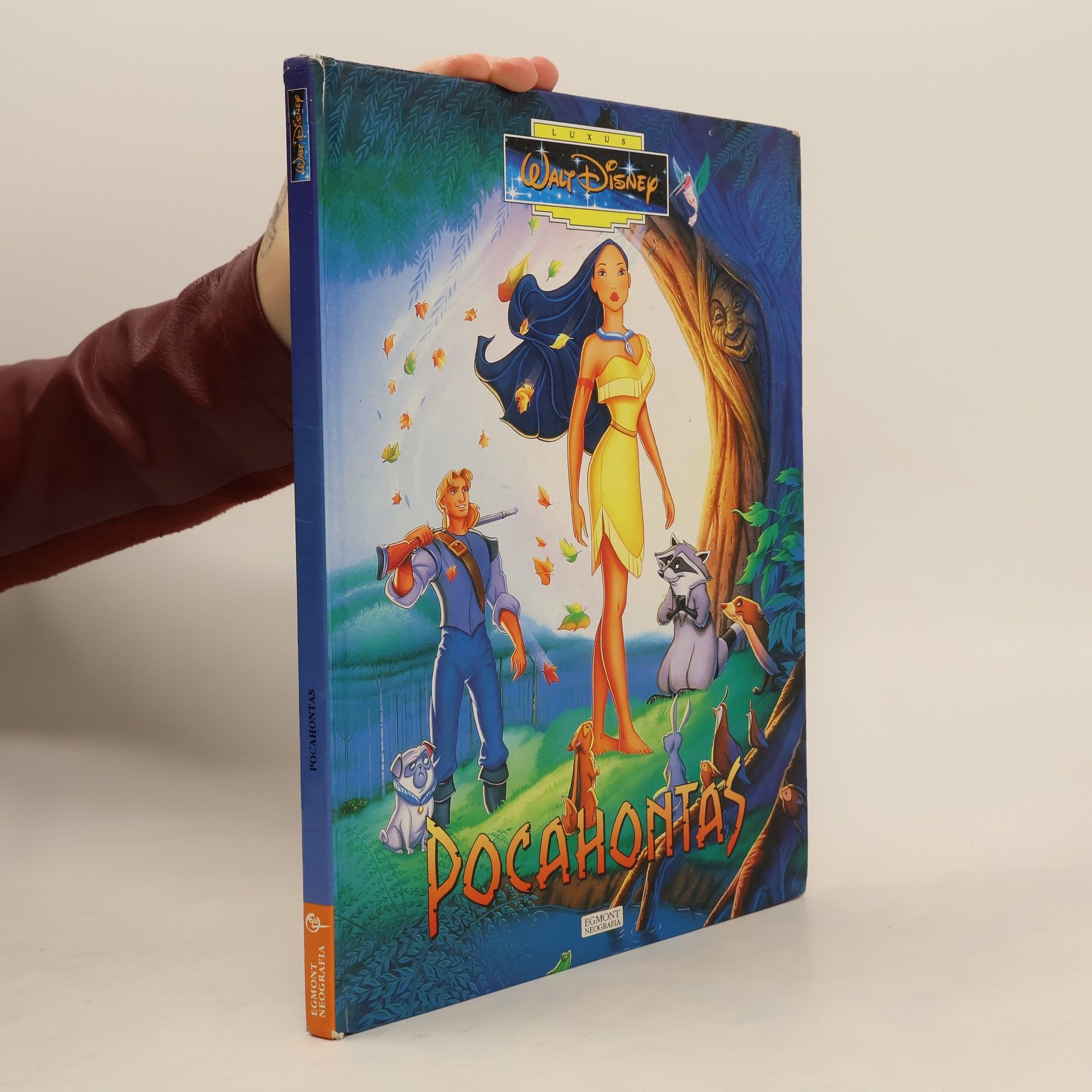 Walt Disney Pocahontas