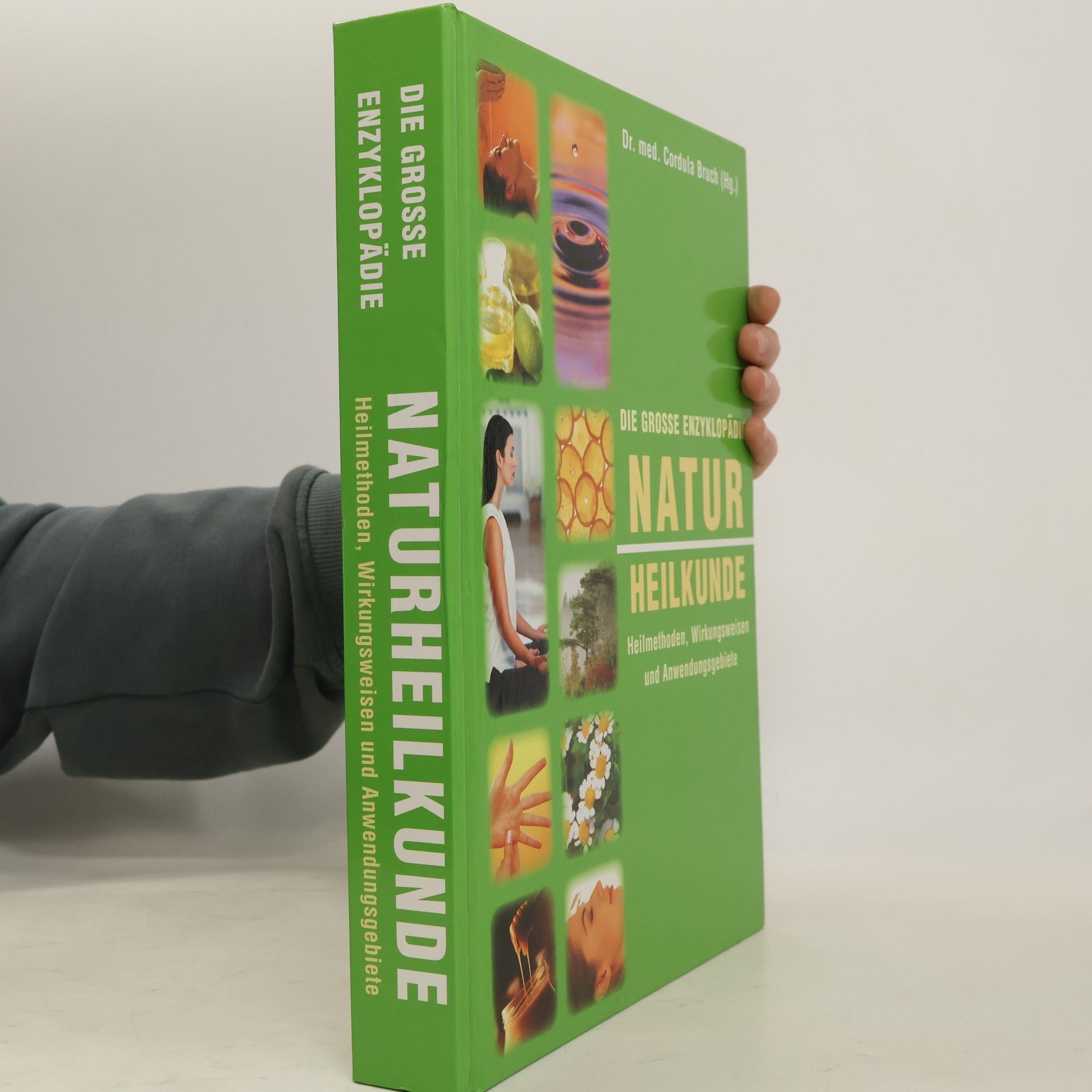 Kolektiv autorů Die große Enzyklopädie Naturheilkunde: Heilmethoden, Wirkungsweisen und Anwendungsgebiete
