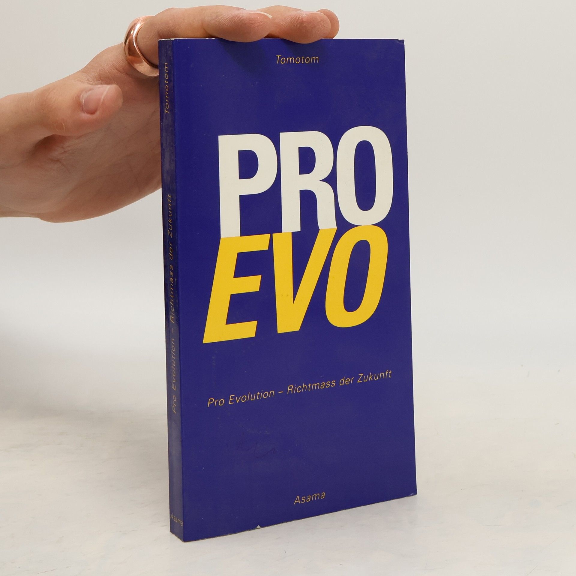 Josef Haid Zeitalter der Freude