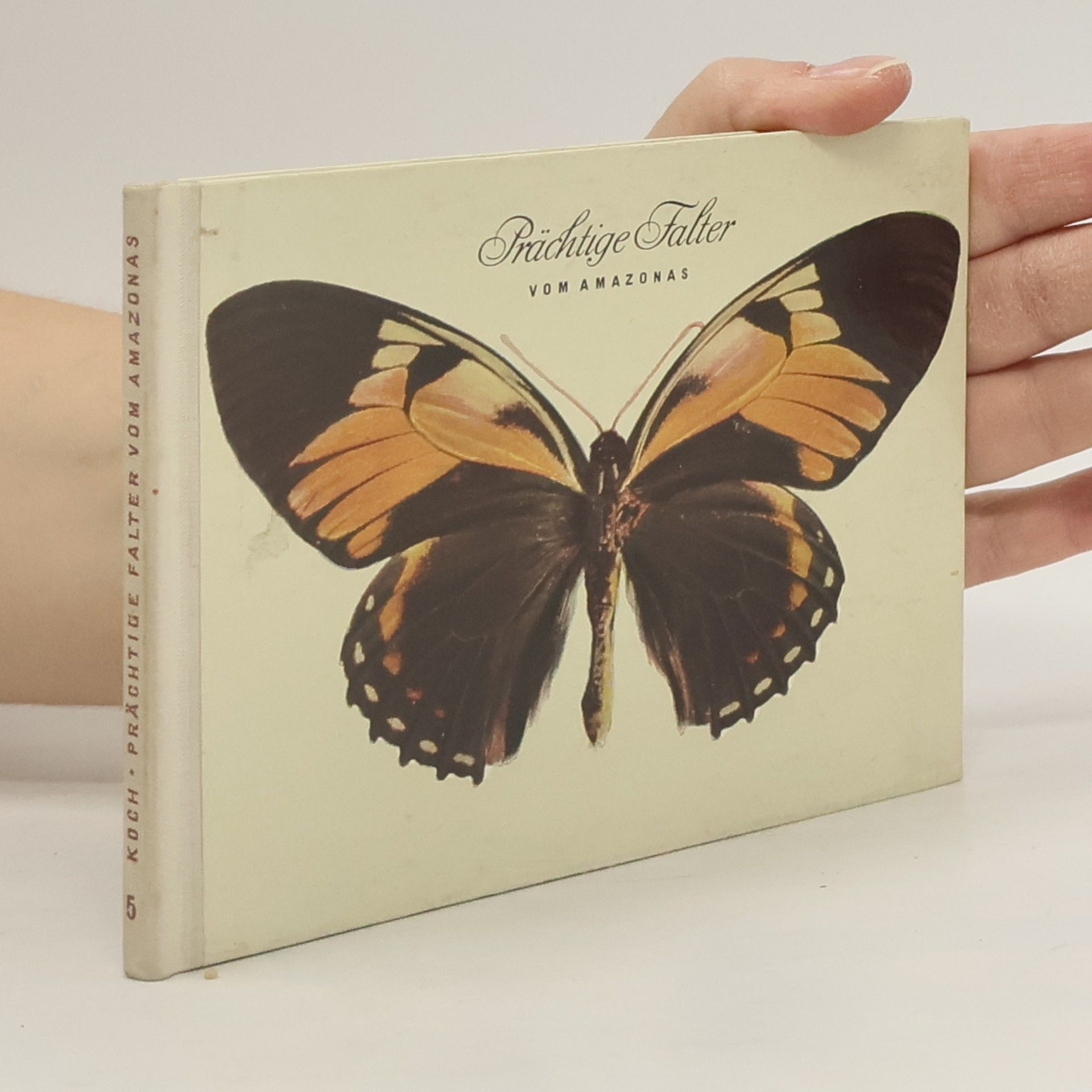 Manfred Koch Prächtige Falter vom Amazonas
