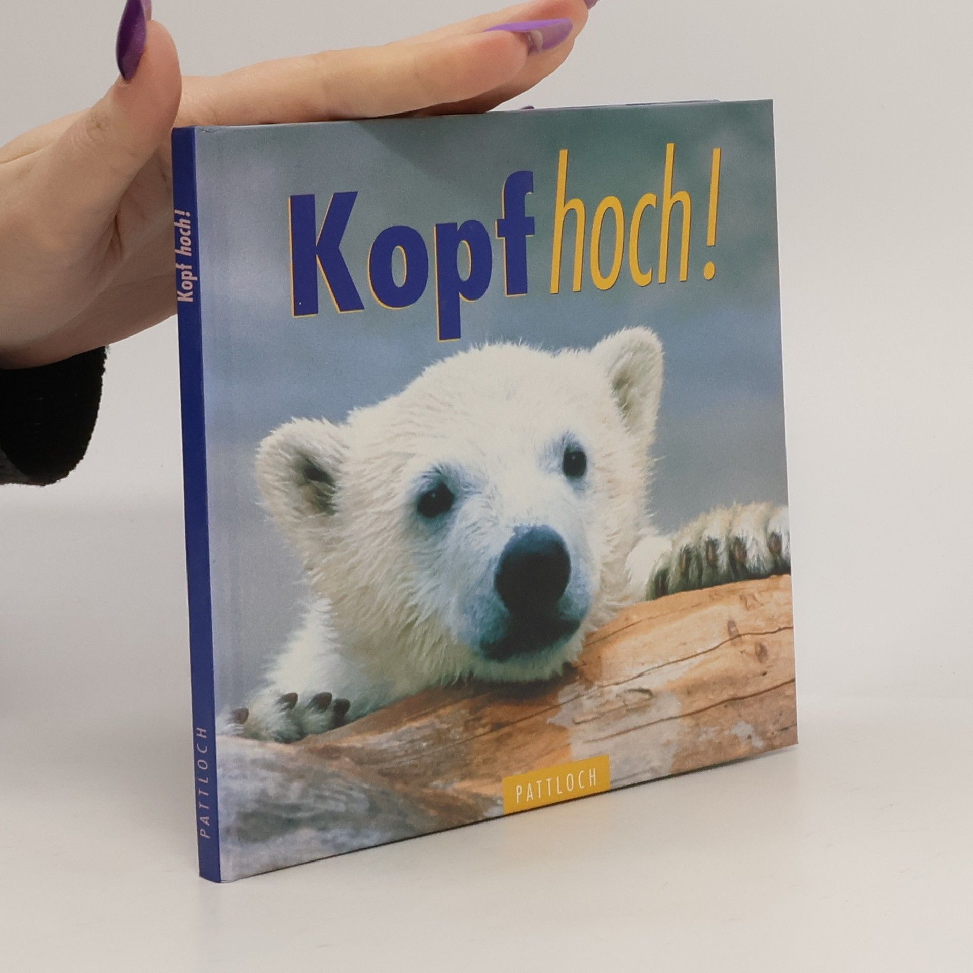 Micha Pawlitzki Kopf hoch!