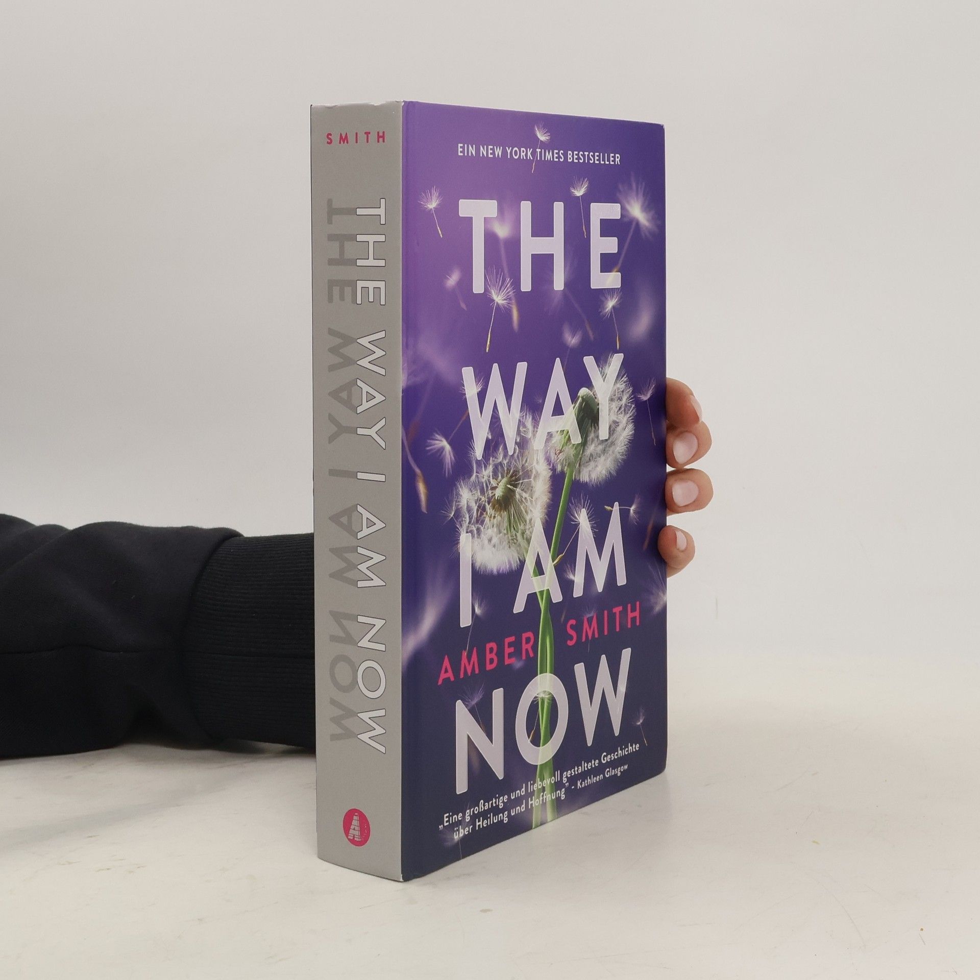 Amber Smith The Way I am Now