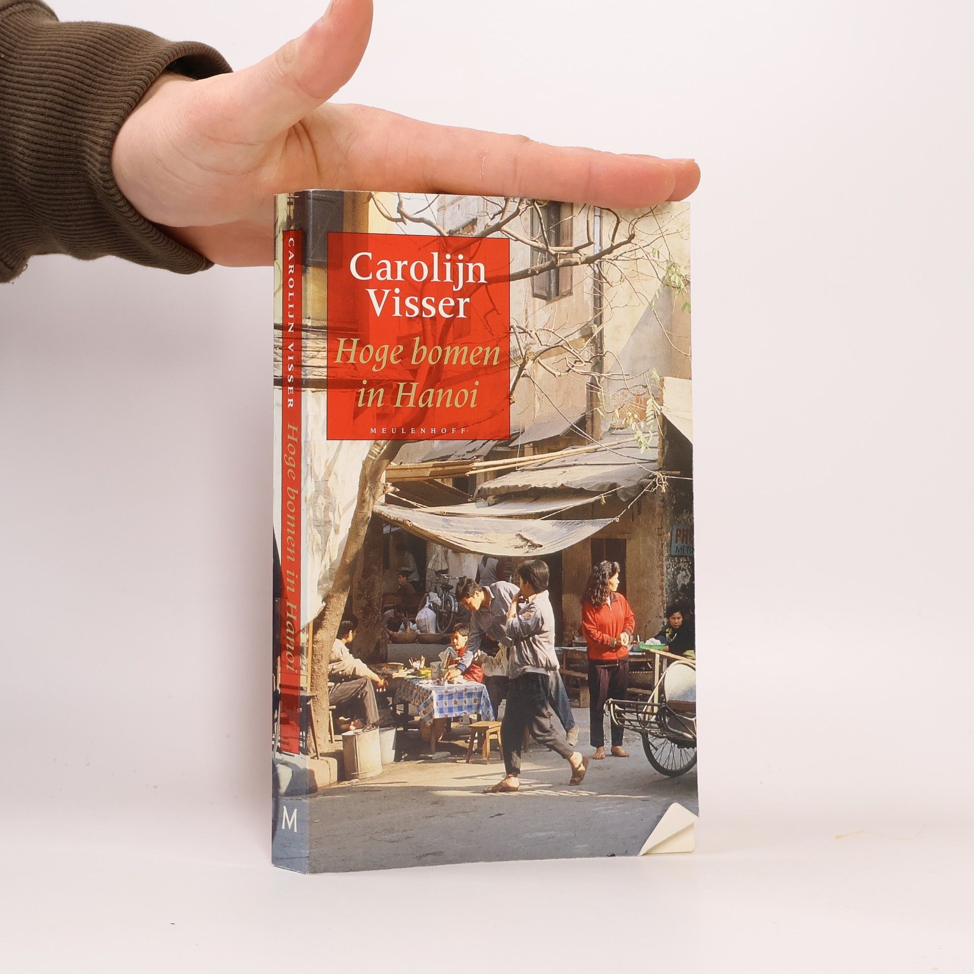 Carolijn Visser Hoge bomen in Hanoi