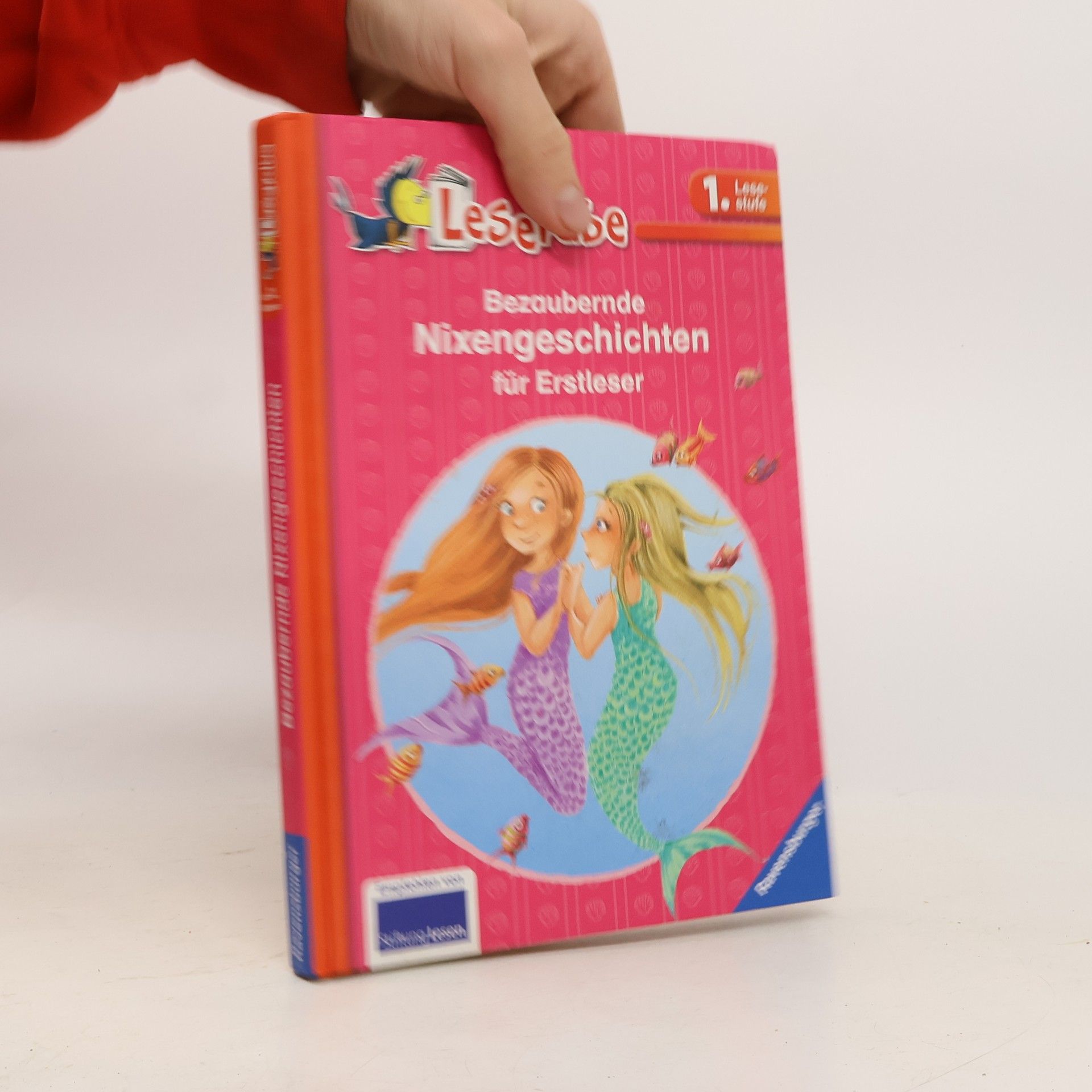 Usch Luhn Bezaubernde Nixengeschichten für Erstleser