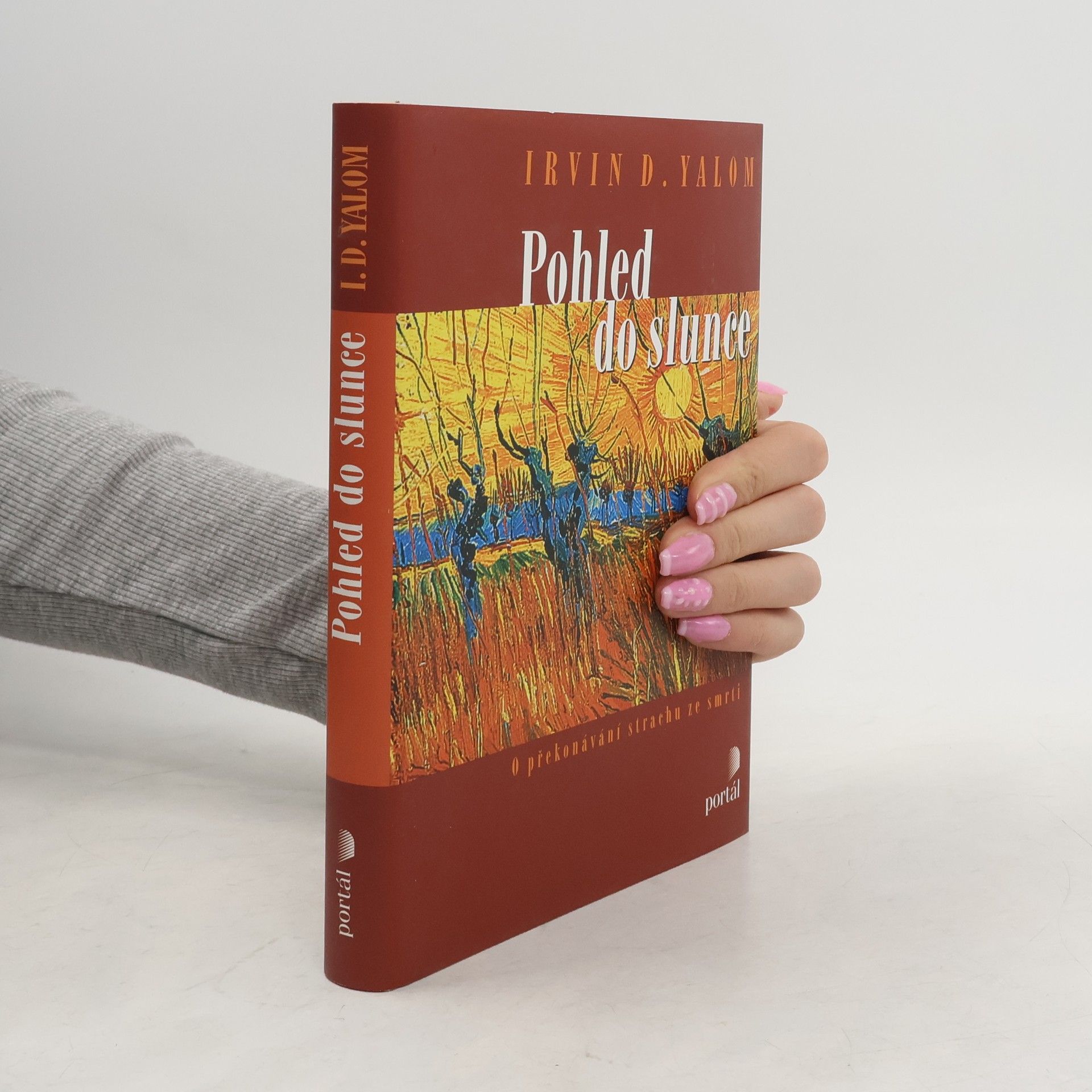 Irvin Yalom Pohled do slunce