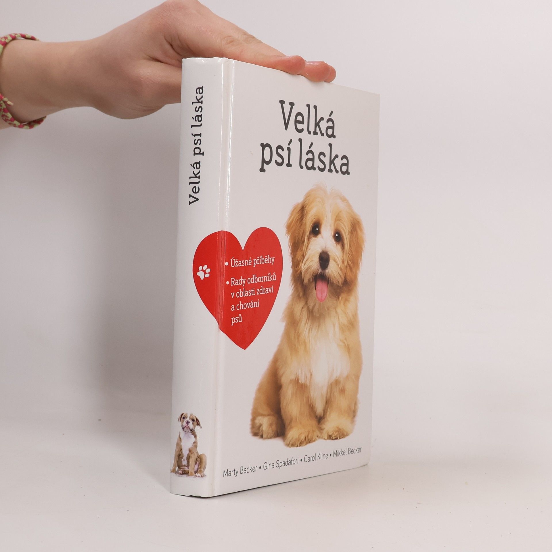 Marty Becker Velká psí láska: Příběhy, rady a úžasné fotografie psích bytostí