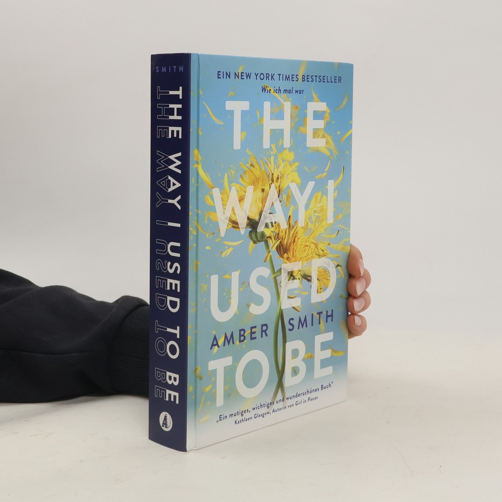 Amber Smith Wie ich mal war. The Way I Used to Be