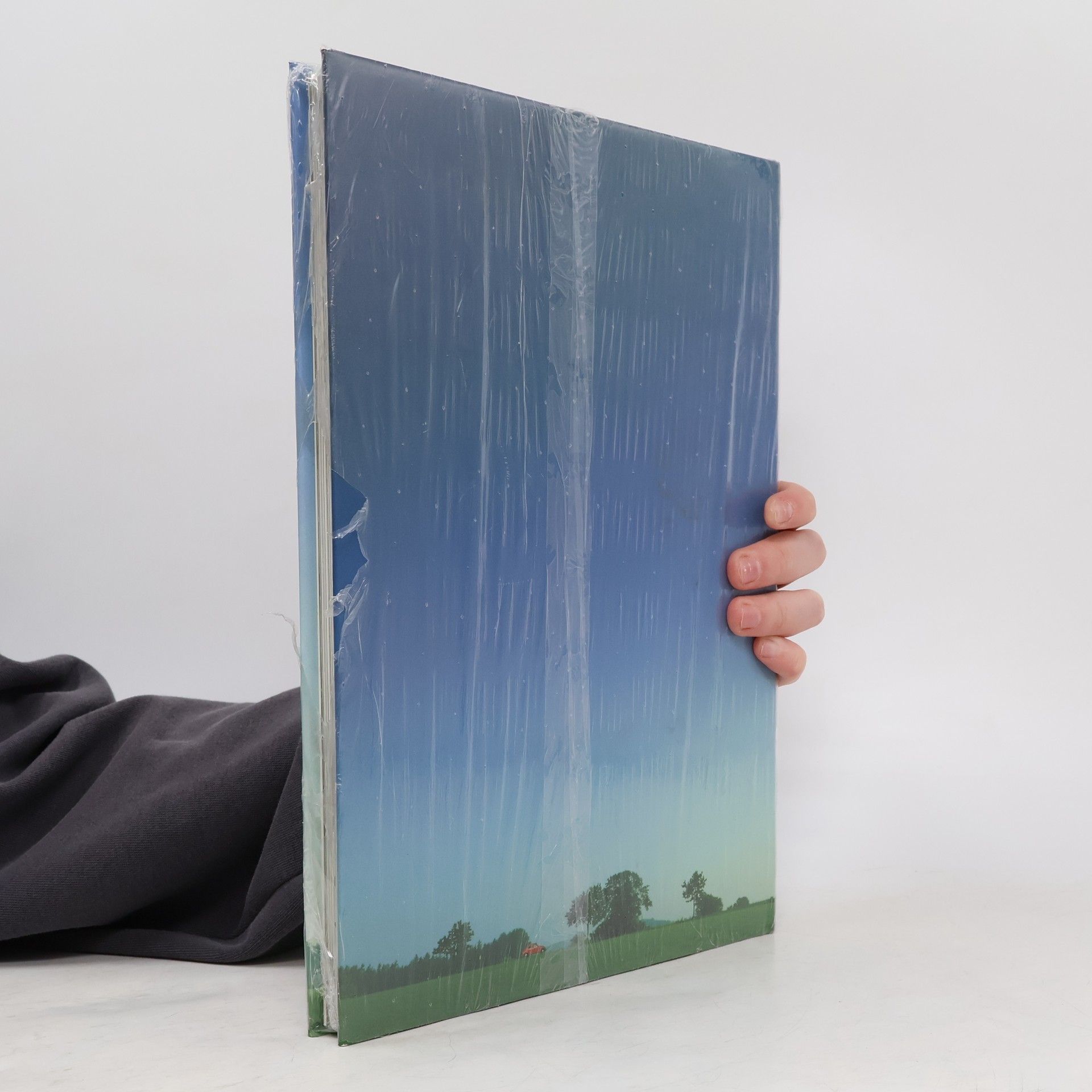 Autorenkollektiv Das Buch. Von Volkswagen 1938-1968