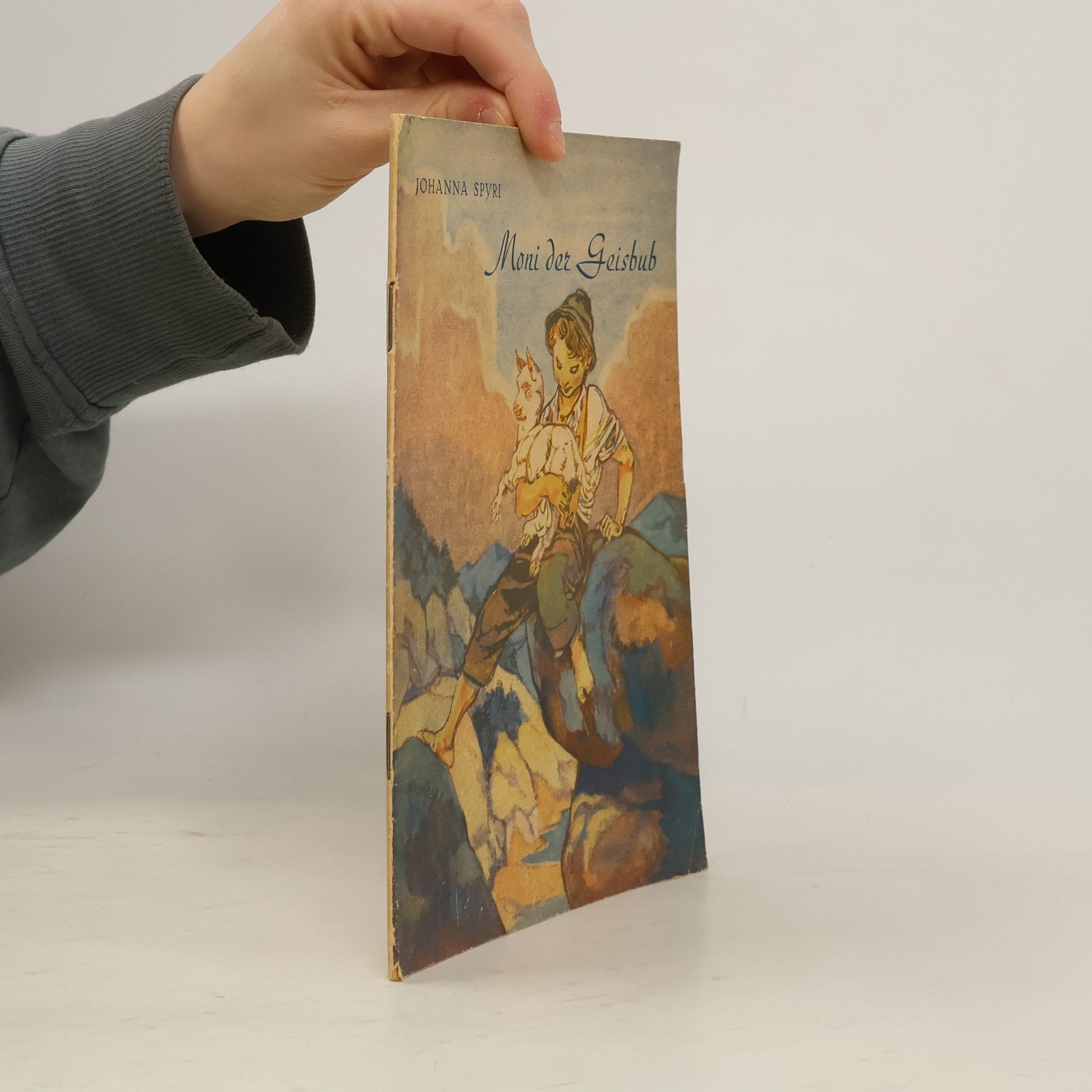 Johanna Spyri Moni der Geisbub