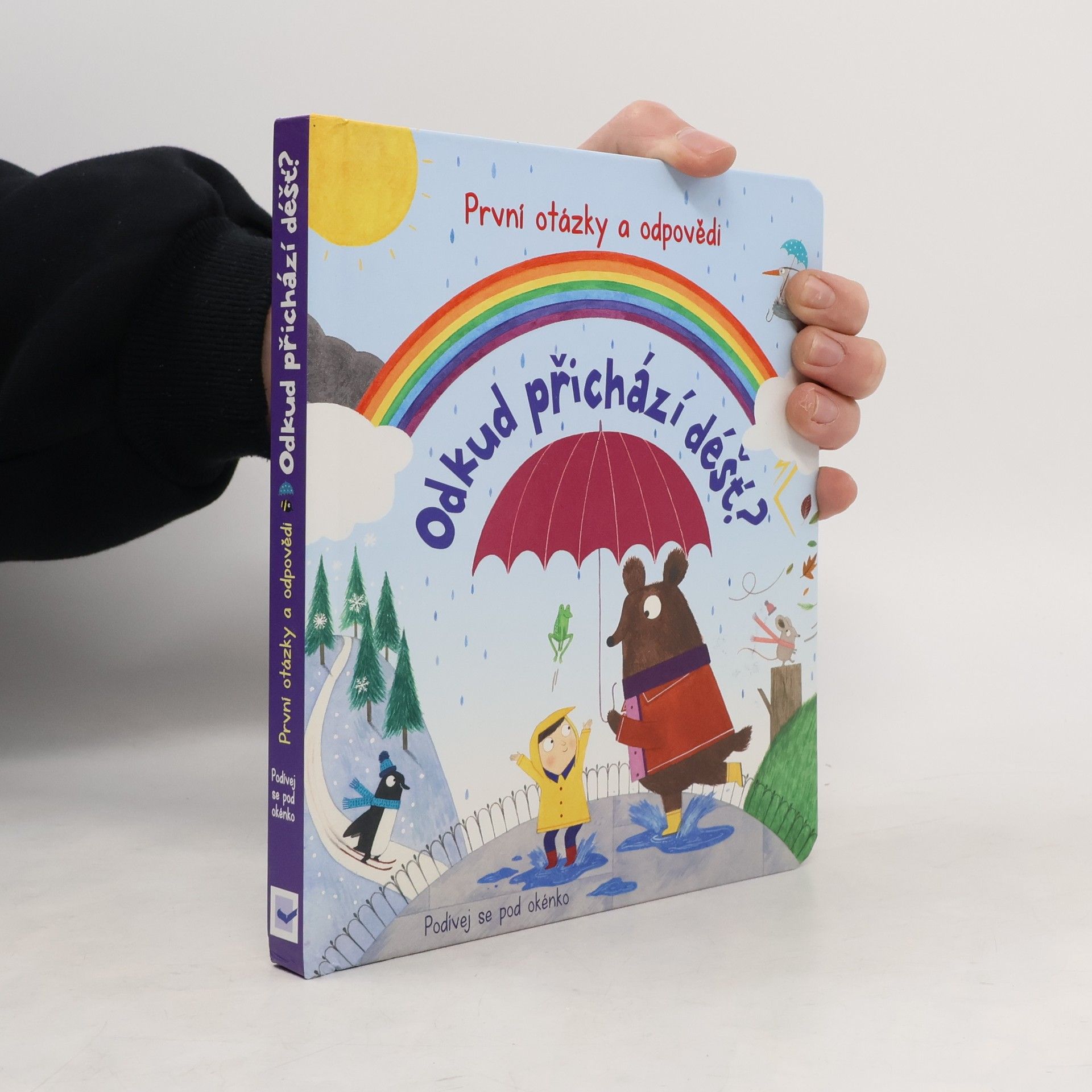 Christine Pym Odkud přichází déšť?