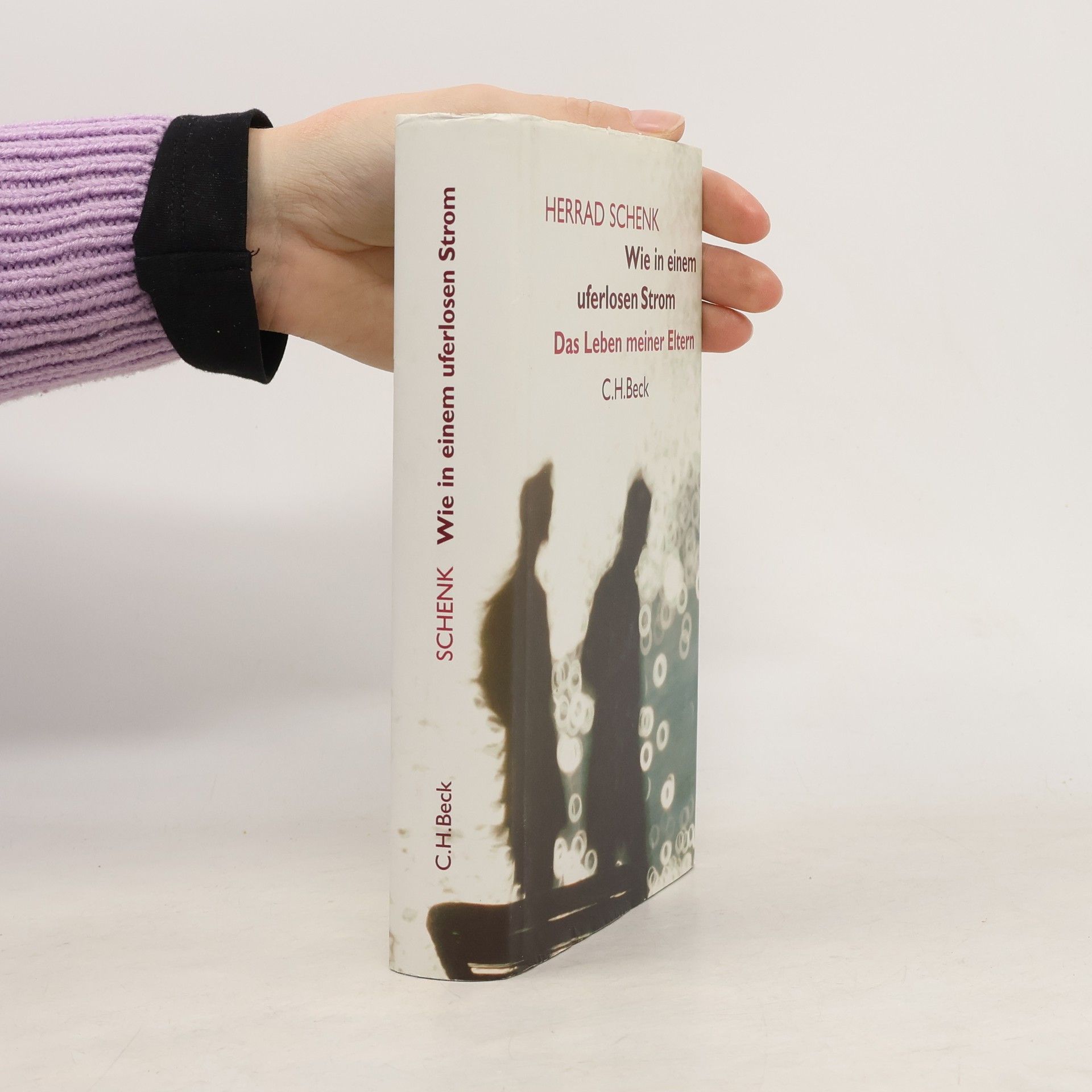 Herrad Schenk Wie in einem uferlosen Strom