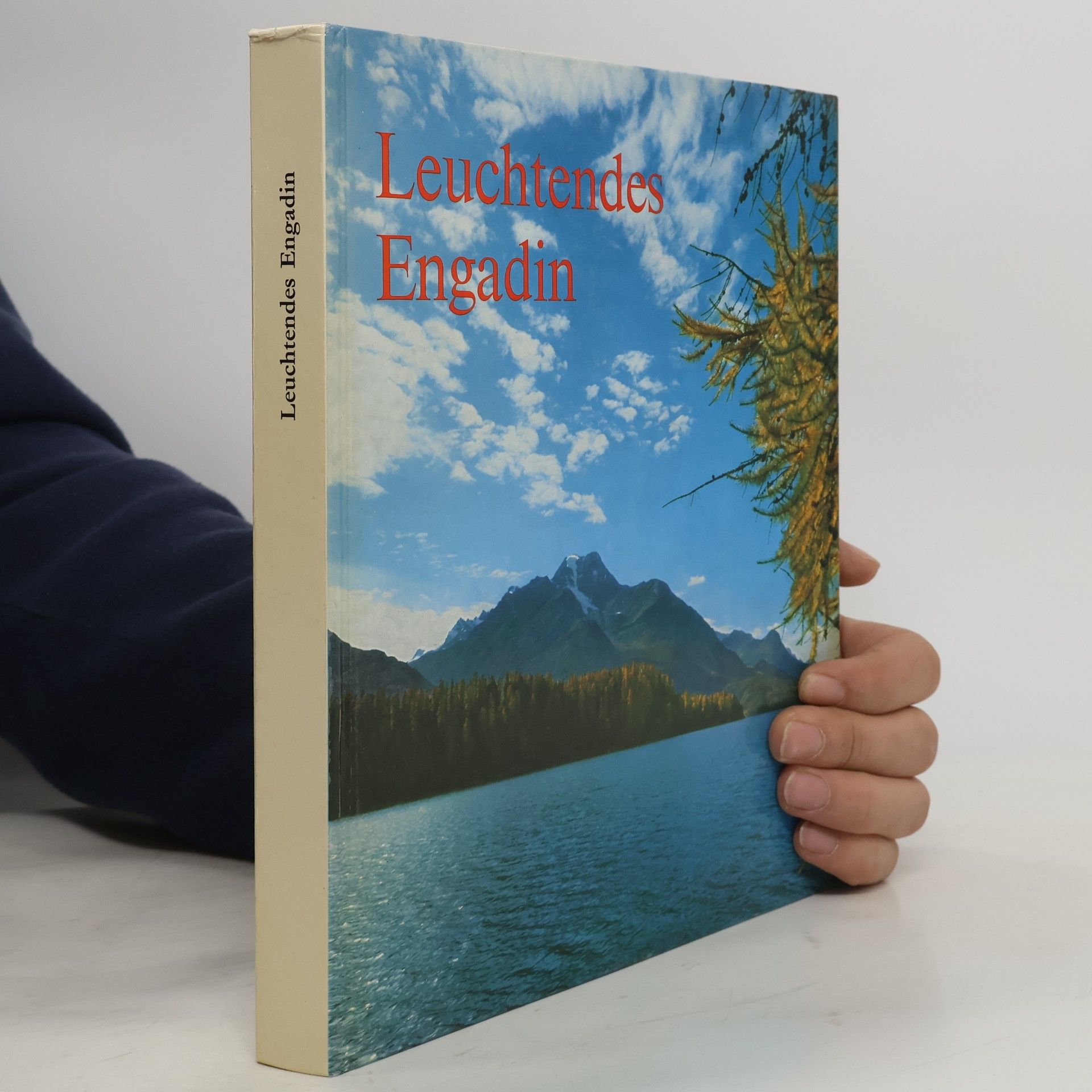 Various authors Leuchtendes Engadin