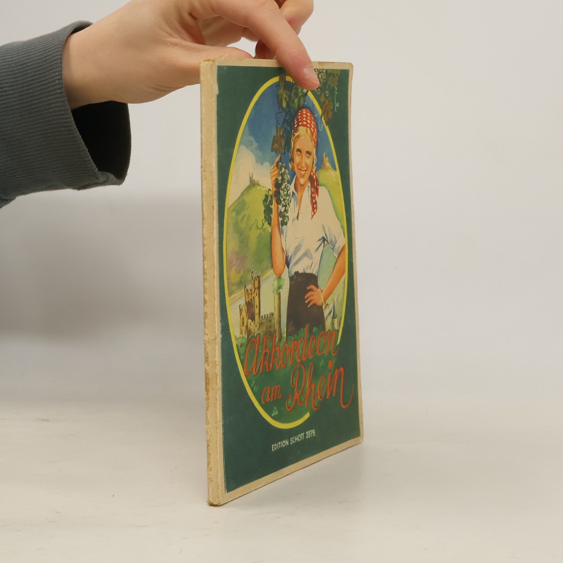 Willy Meyer Akkordeon am Rhein