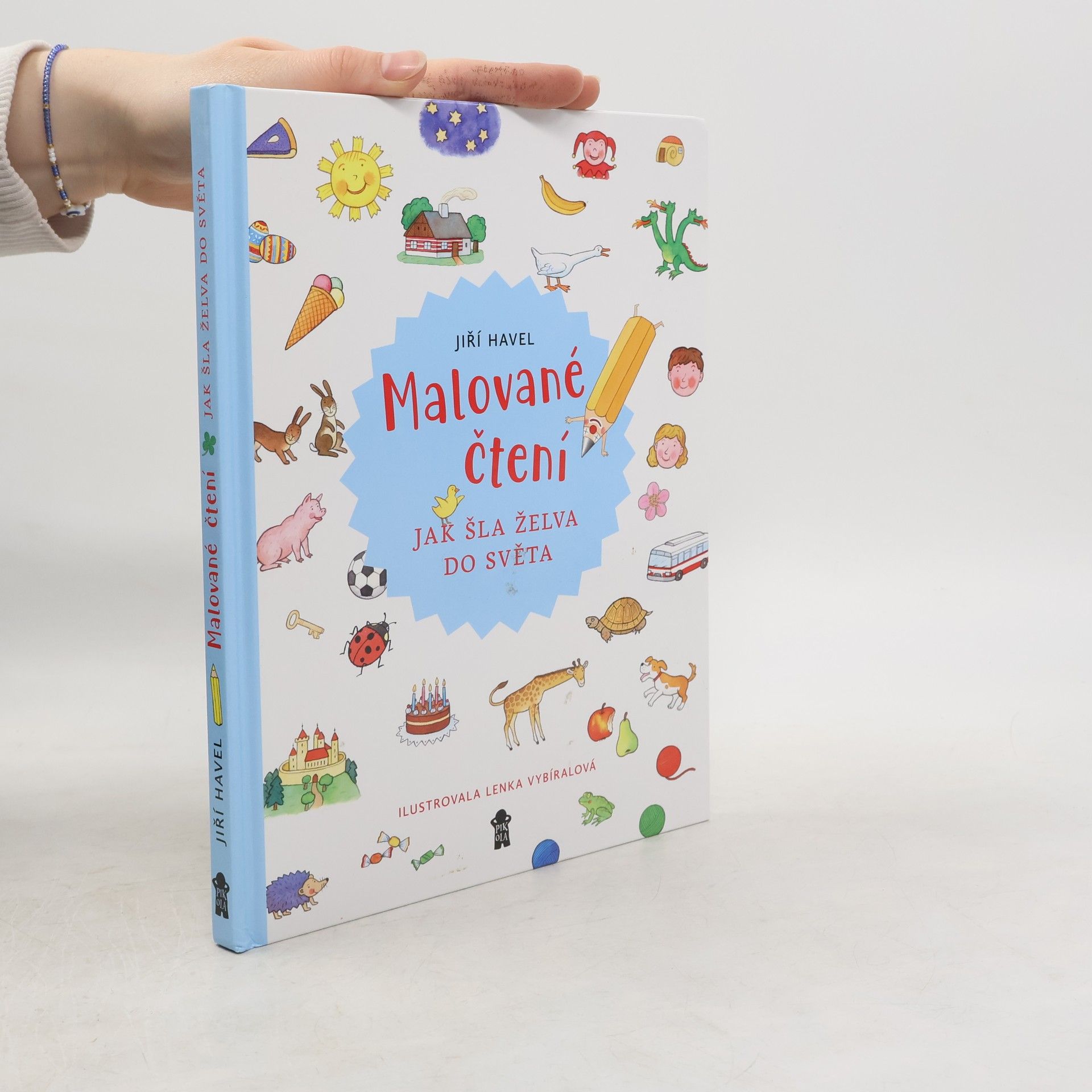 Jiří Havel Malované čtení. Jak šla želva do světa