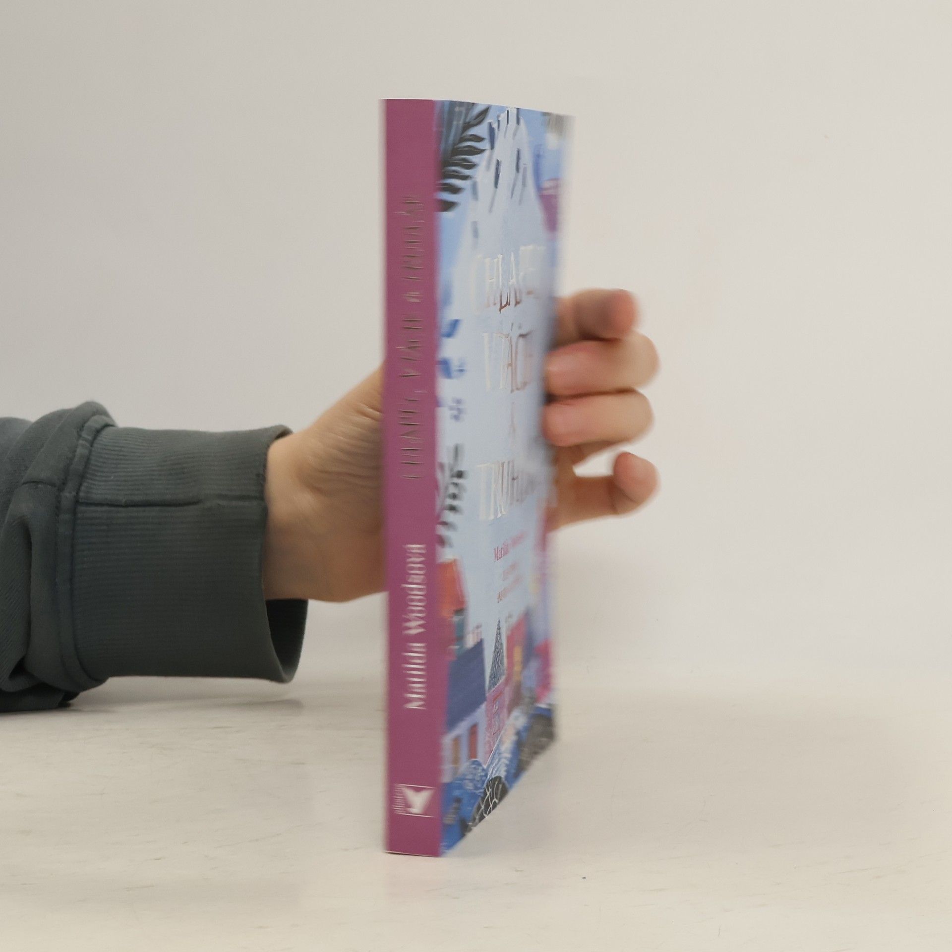 Matilda Woods Chlapec, vtáčik a truhlár