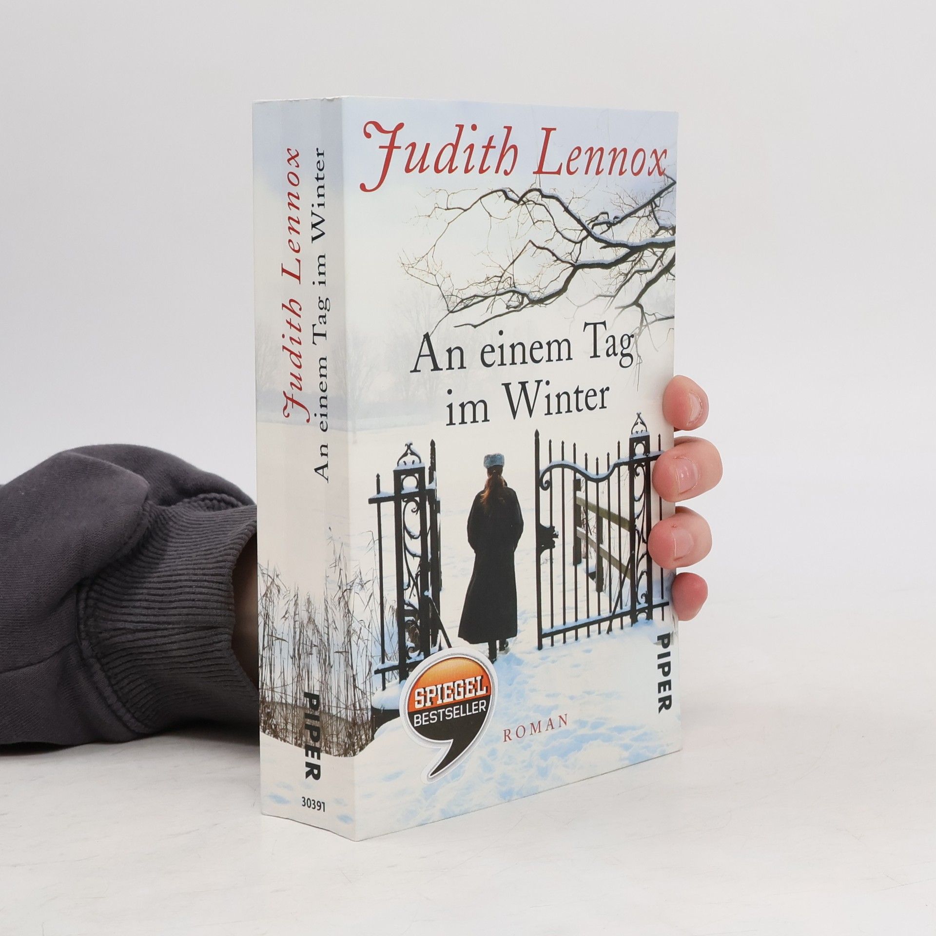 Judith Lennox An einem Tag im Winter