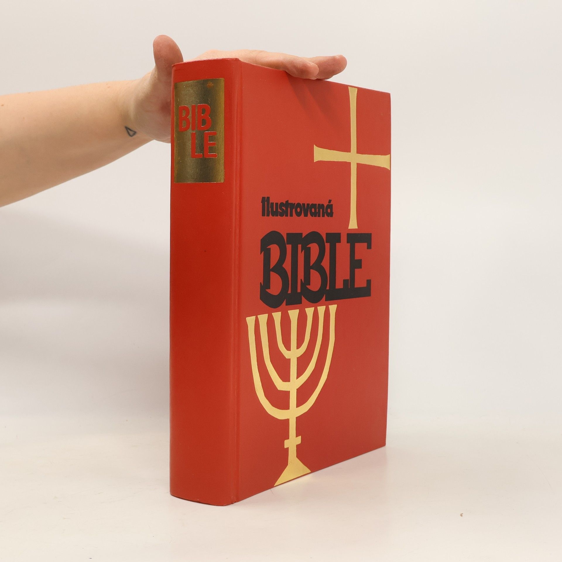 Autorenkollektiv Ilustrovaná Bible