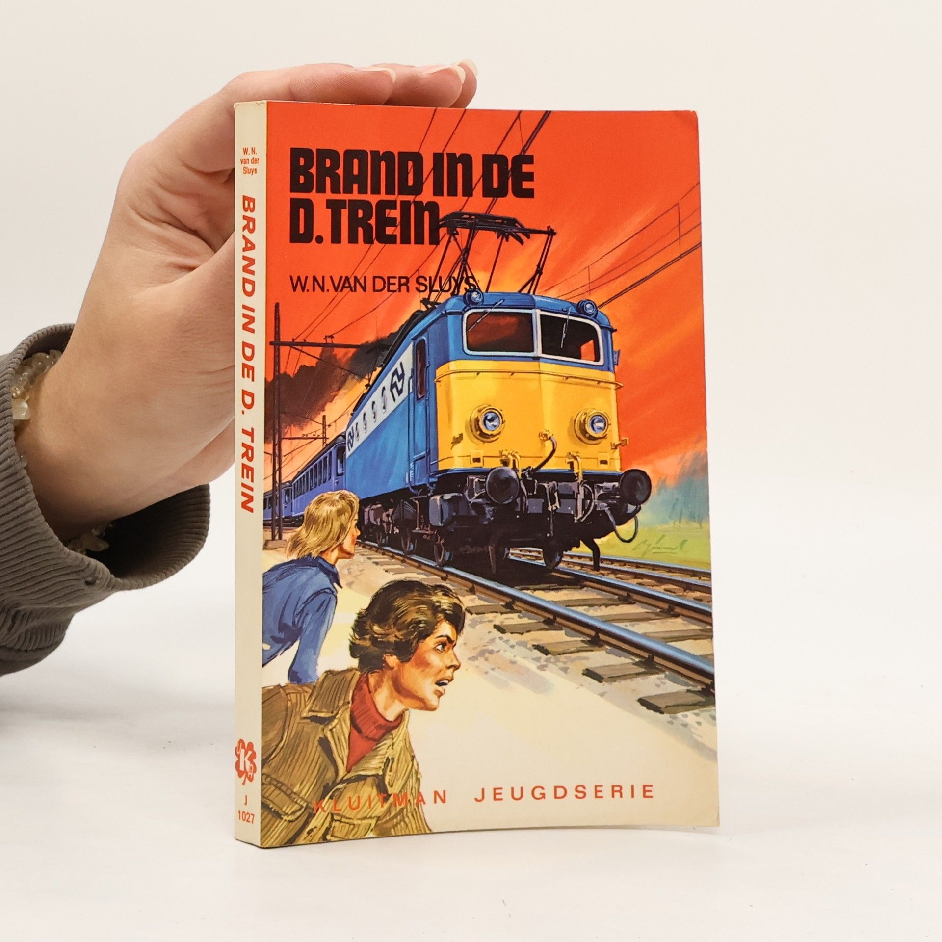 W.N. van der Sluys Brand in de D-trein