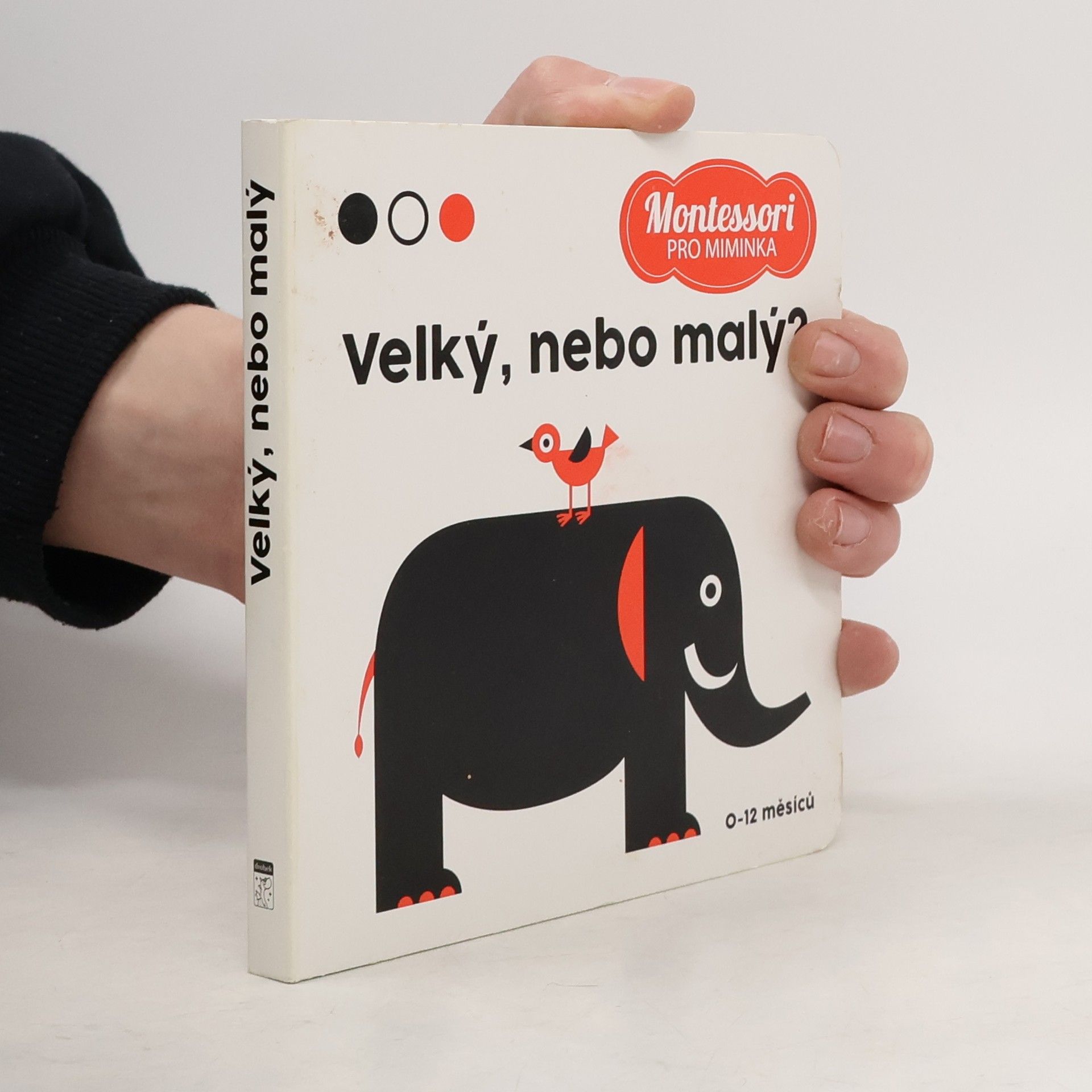 Agnese Baruzzi Velký, nebo malý?