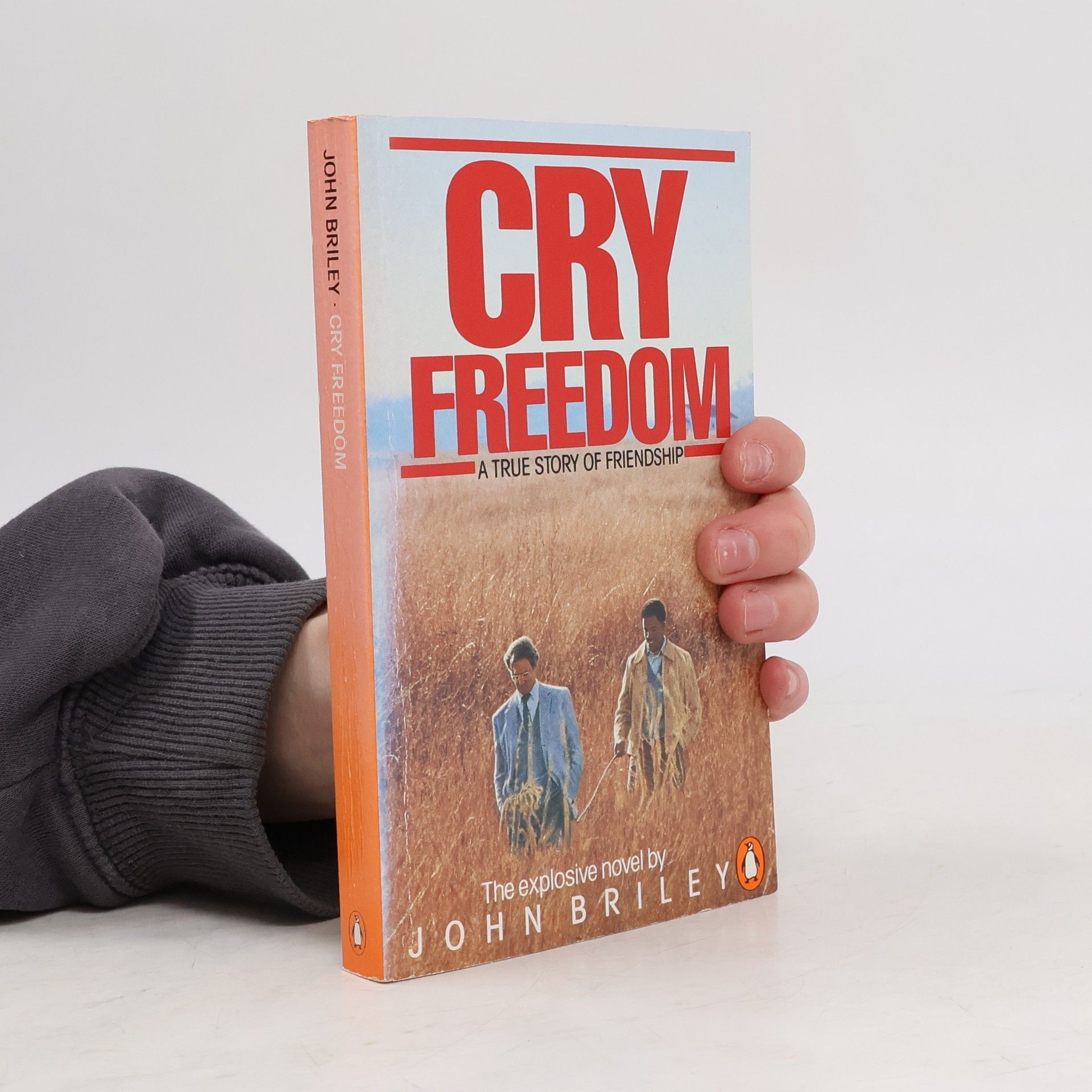 John Briley Cry freedom
