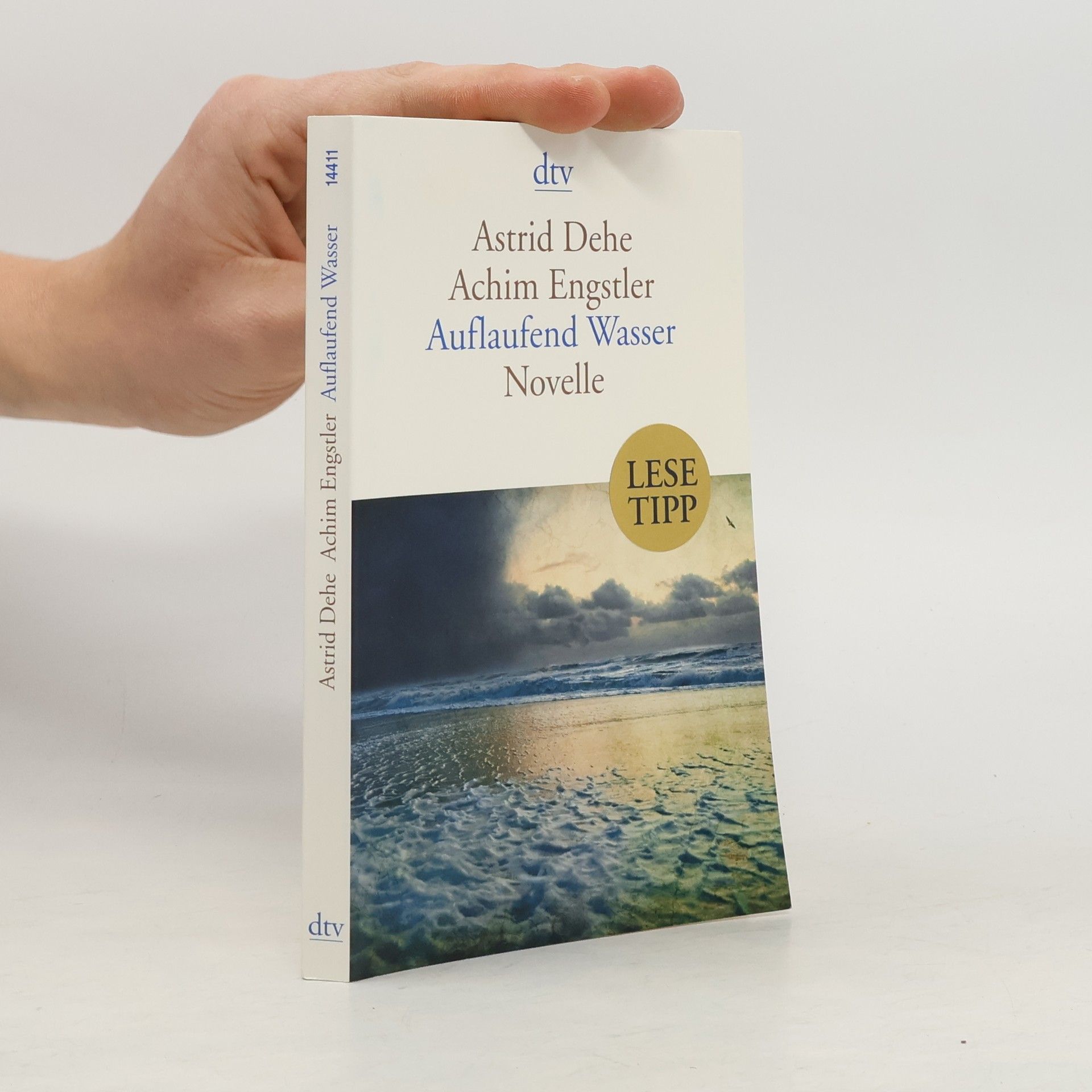 Astrid Dehe Auflaufend Wasser