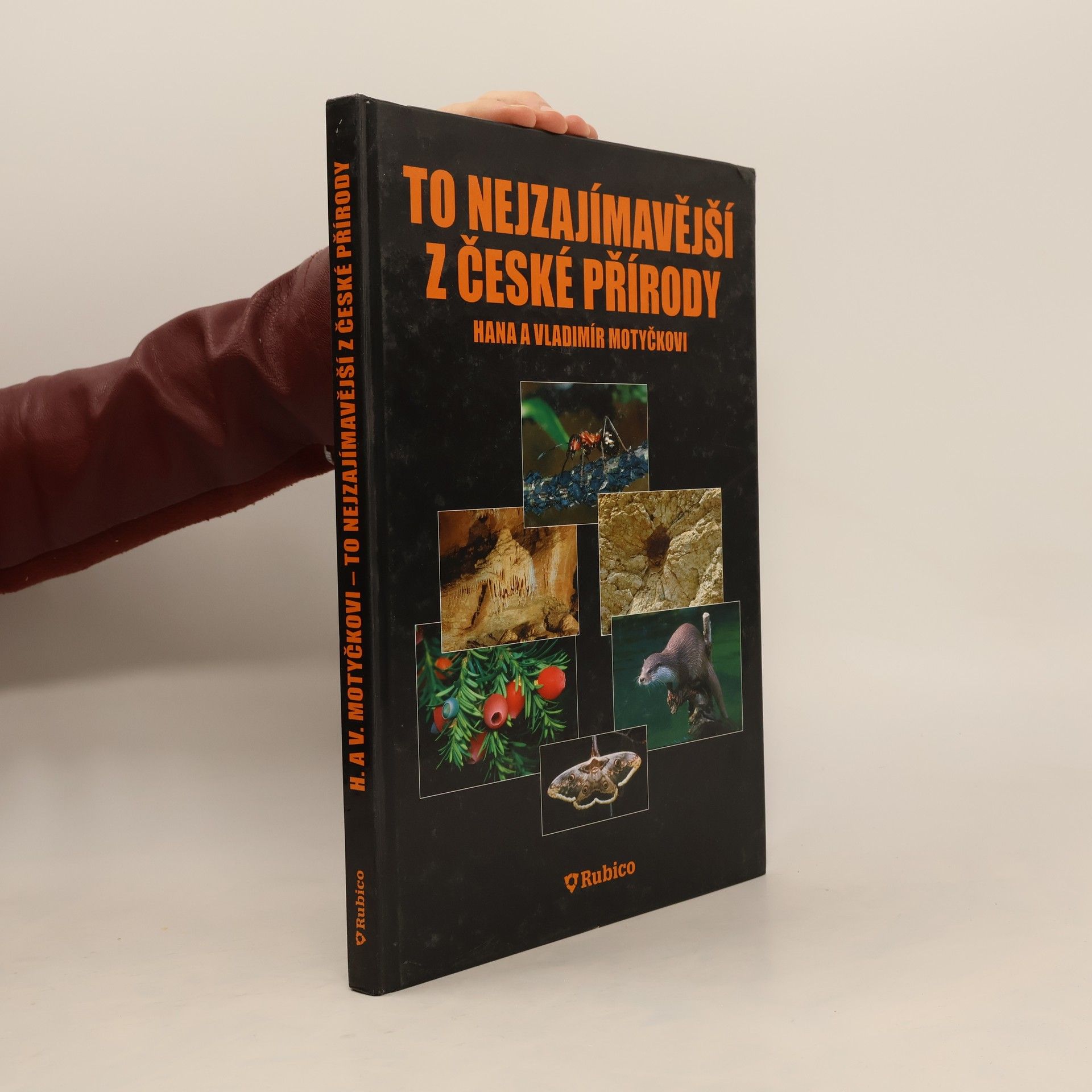 To nejzajímavější z české přírody