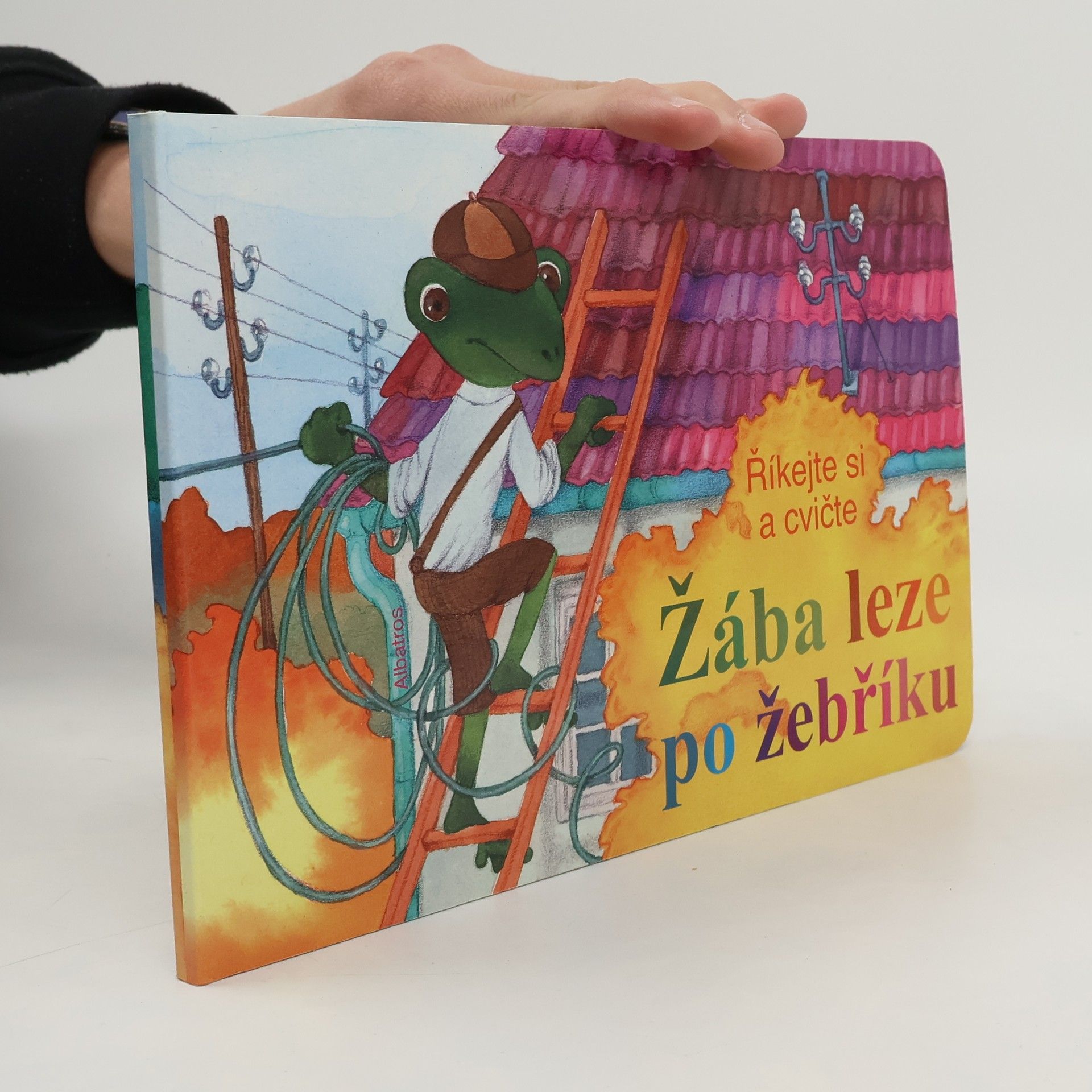 Kolektiv autorů Žába leze po žebříku