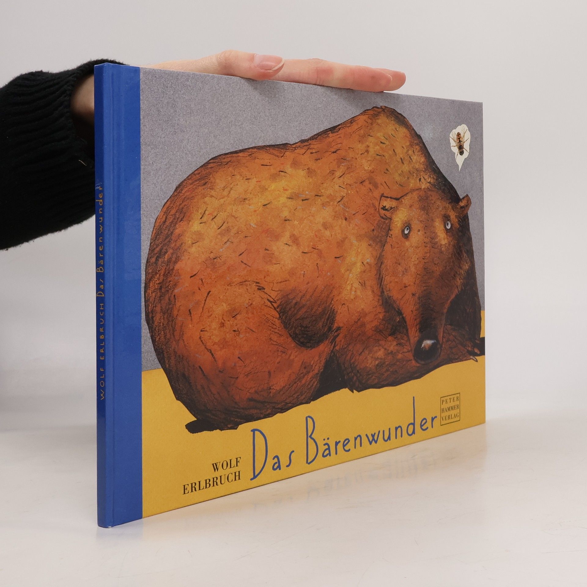 Wolf Erlbruch Das Bärenwunder