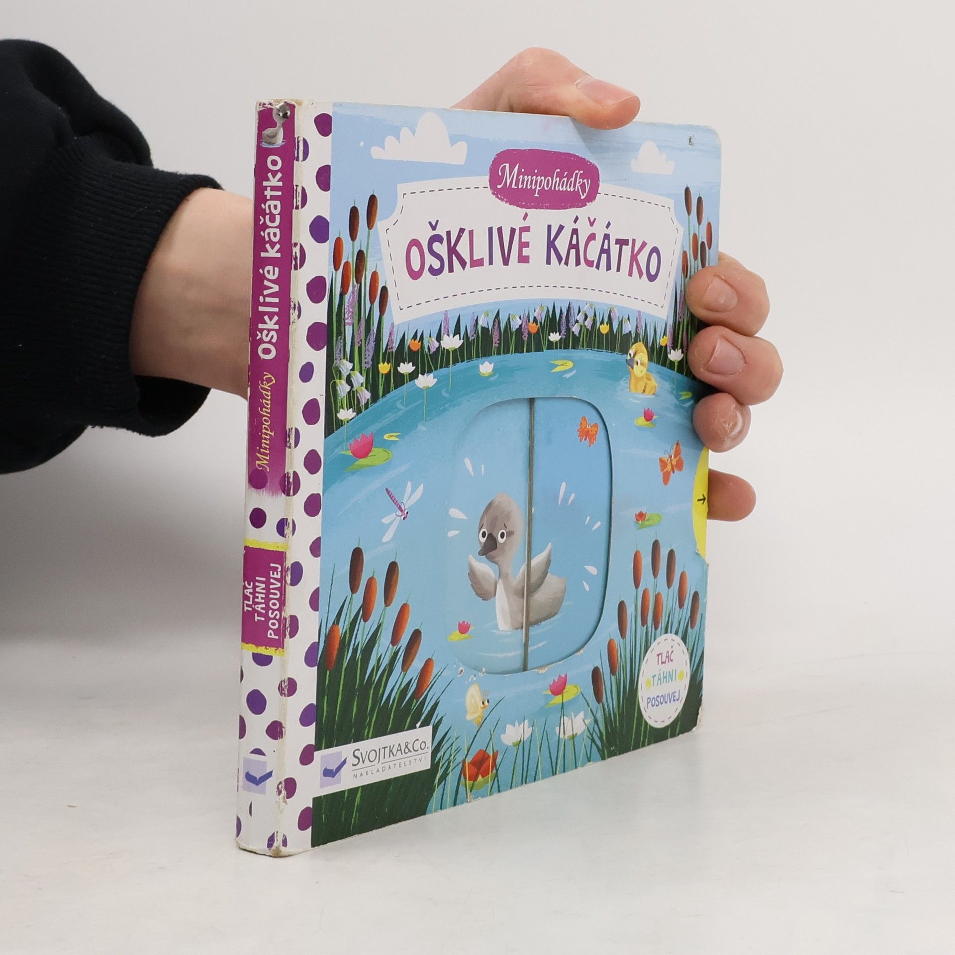 Dean Gray Minipohádky: Ošklivé káčátko