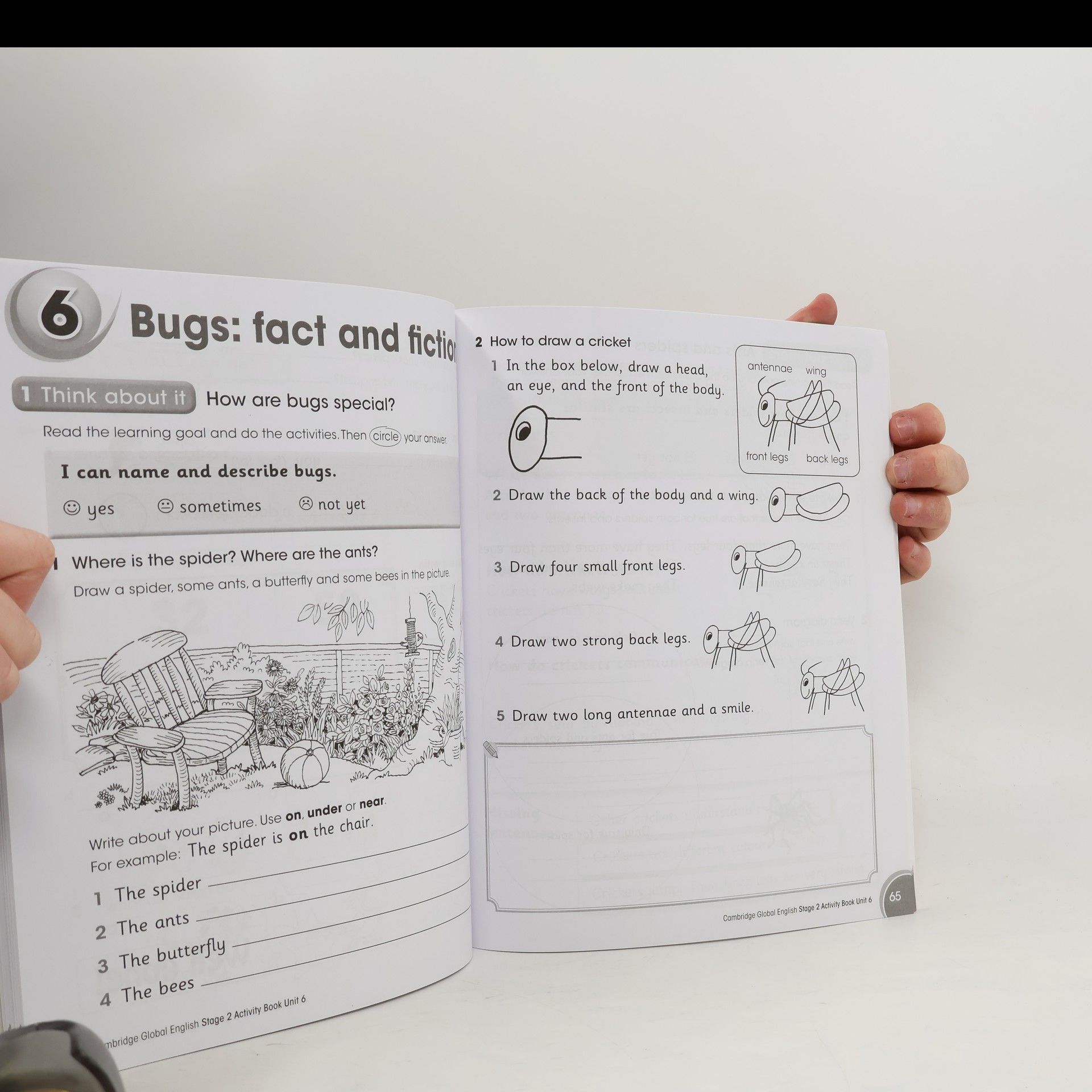 Caroline Linse Cambridge Global English. 2 Activity Book