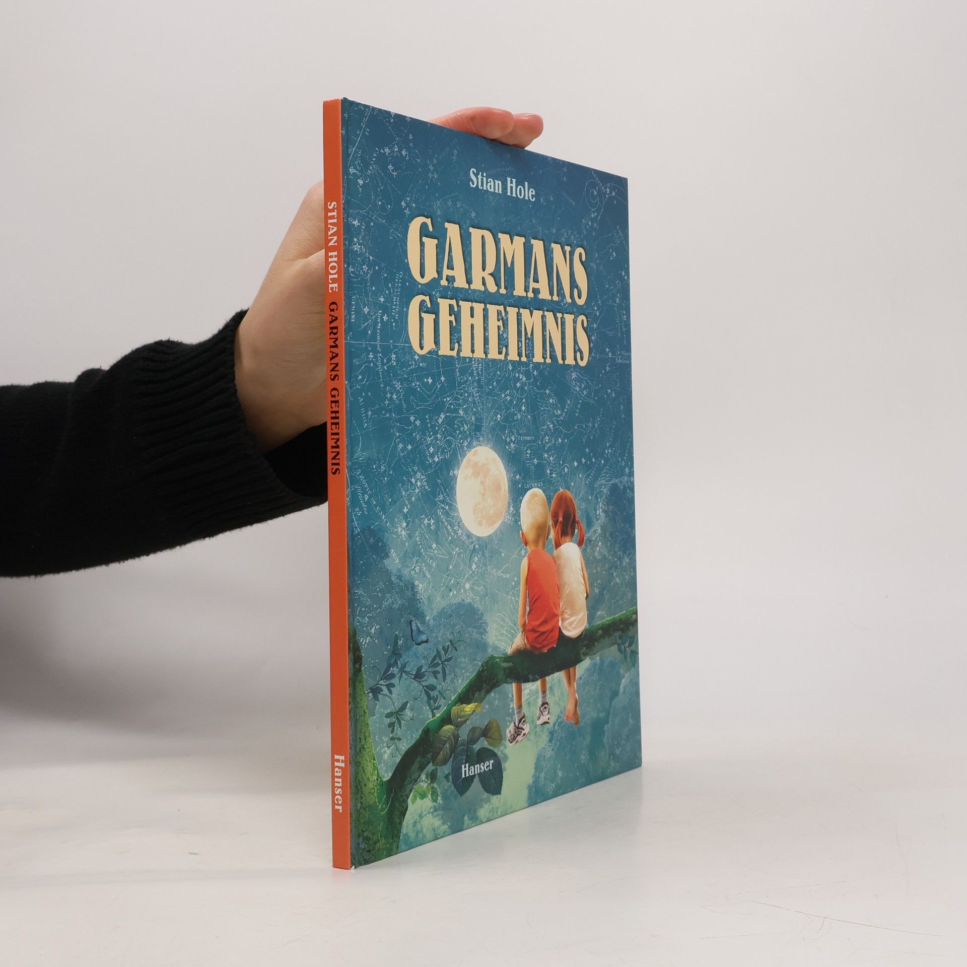 Stian Hole Garmans Geheimnis