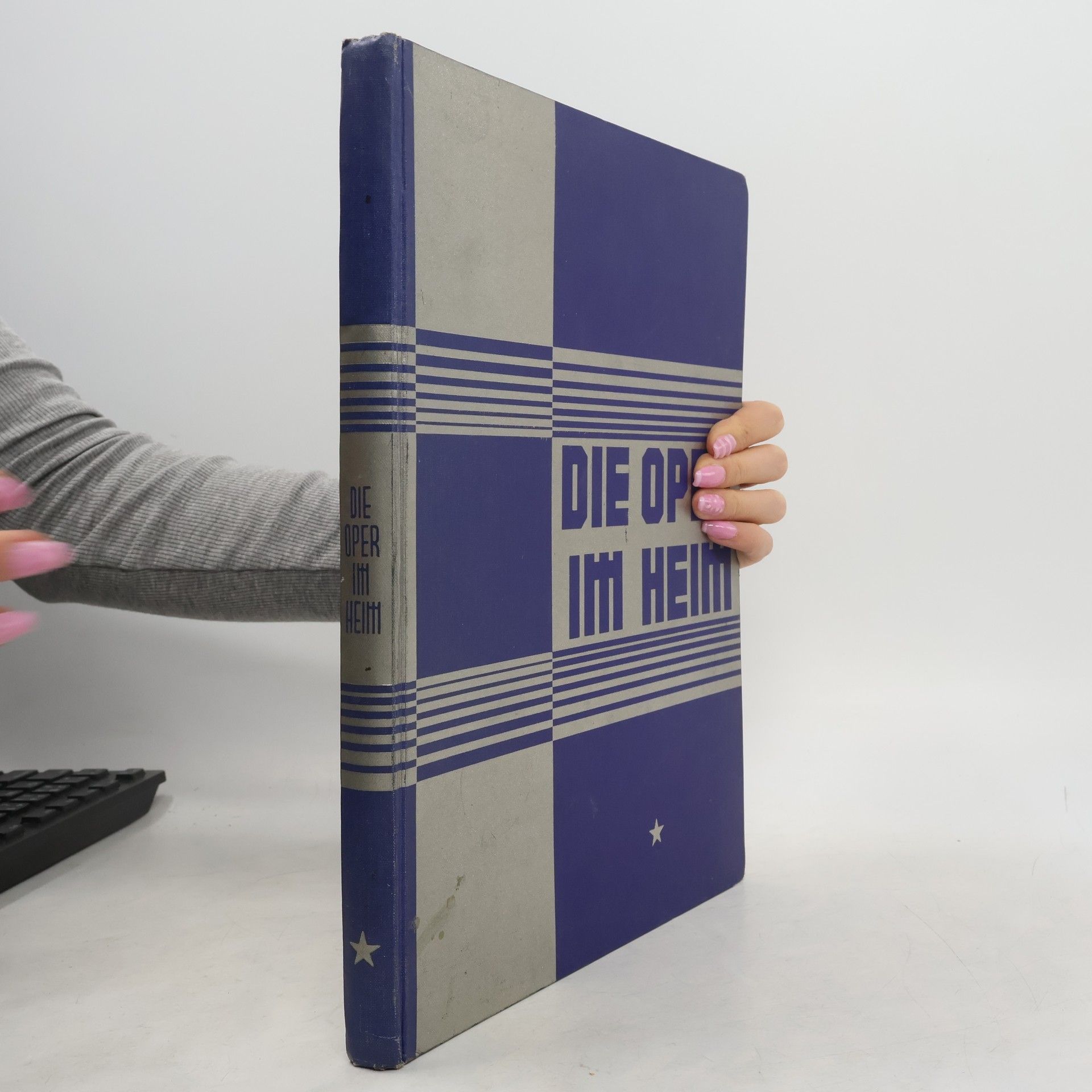 Kolektív autorov Die Oper in Heim I.