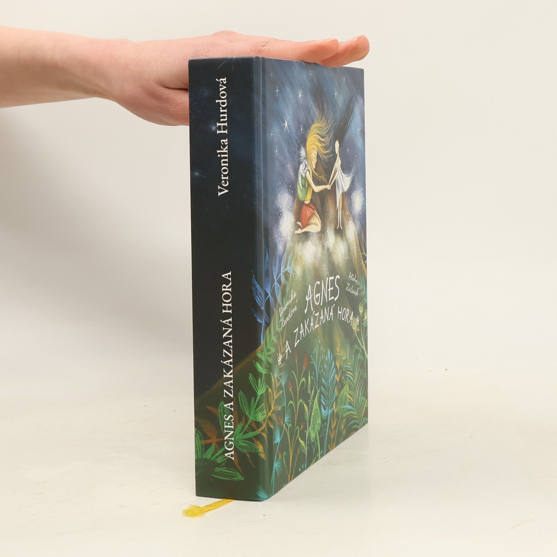 Veronika Hurdová Agnes a Zakázaná hora