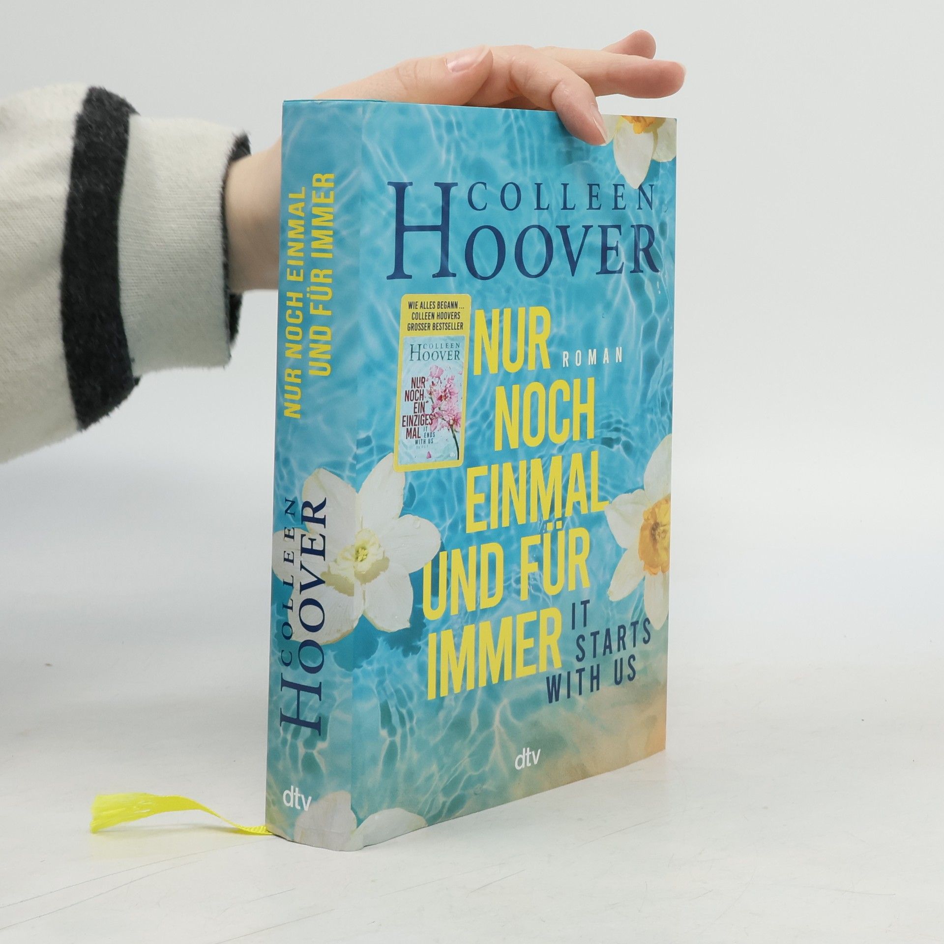 Colleen Hoover Nur noch einmal und für immer