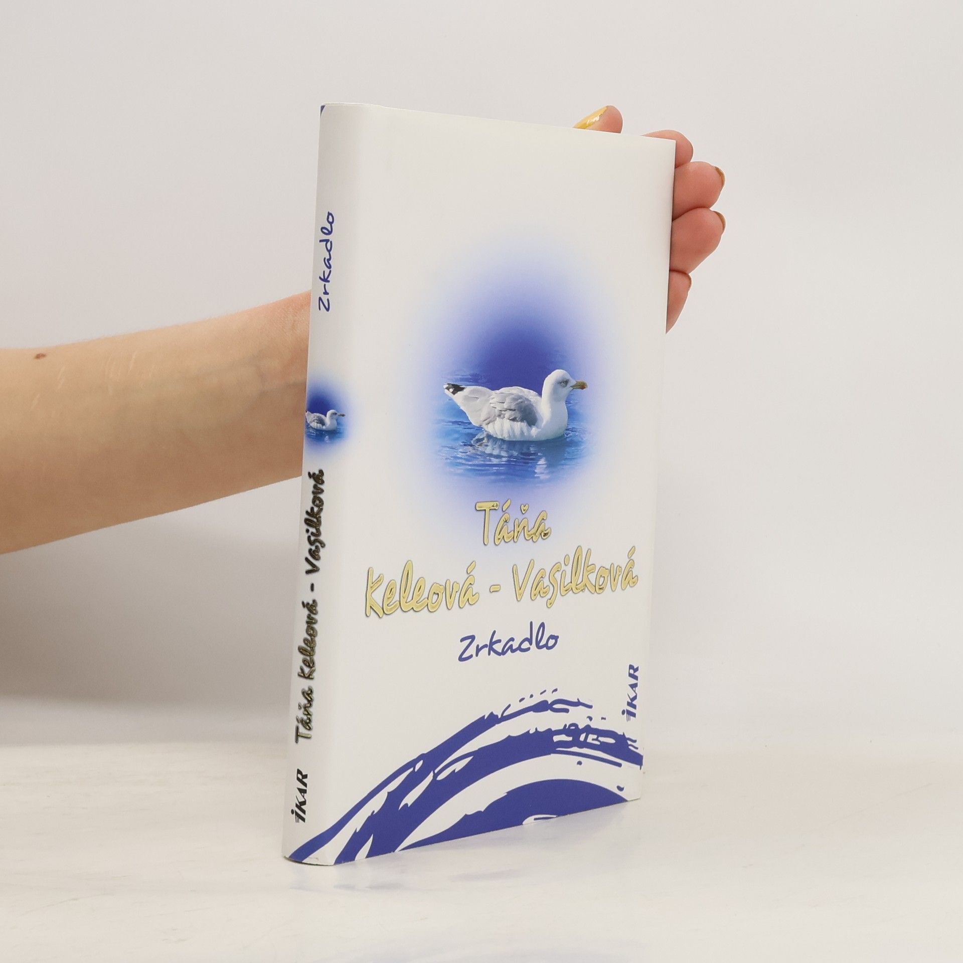 Táňa Keleová-Vasilková Zrkadlo