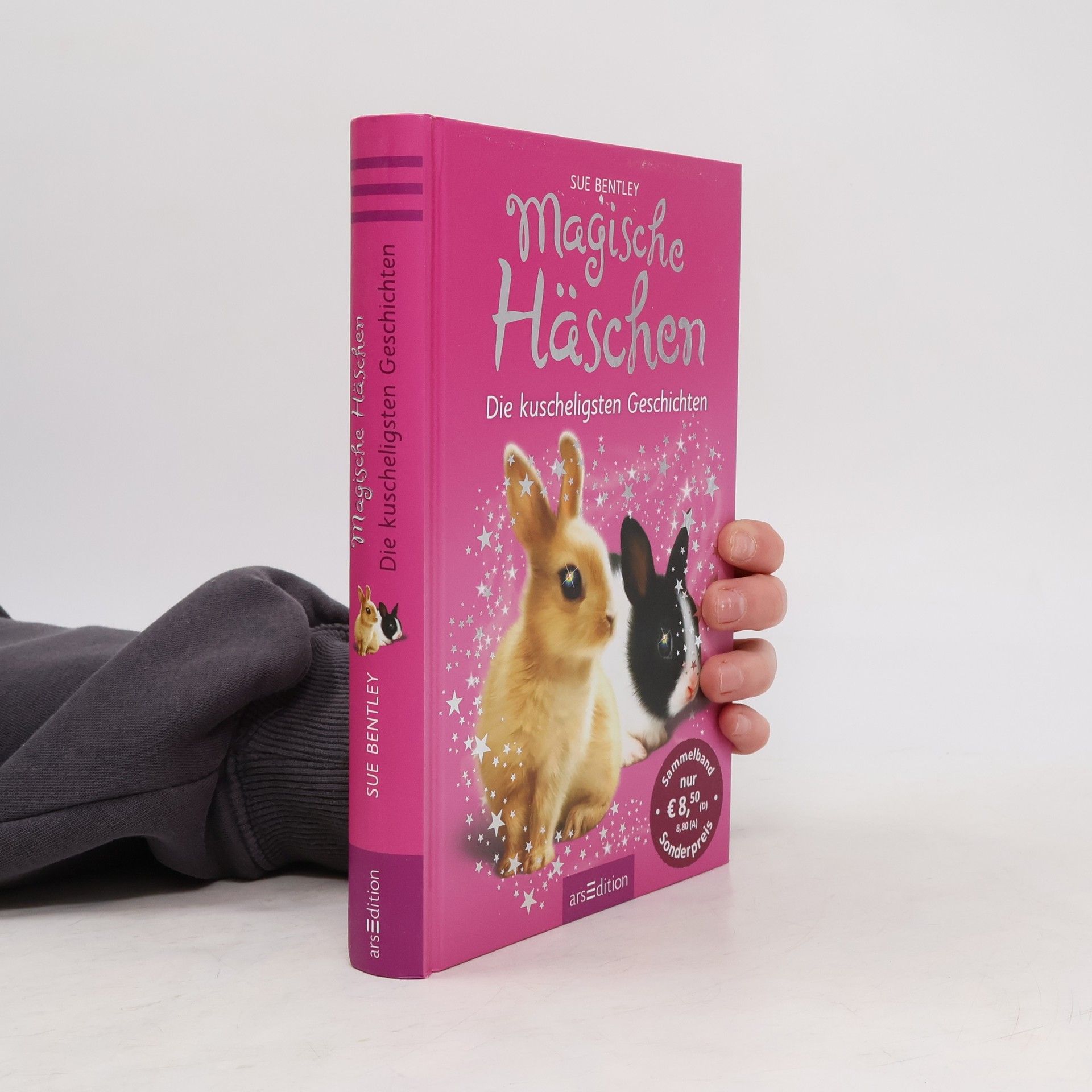 Sue Bentley Magische Häschen