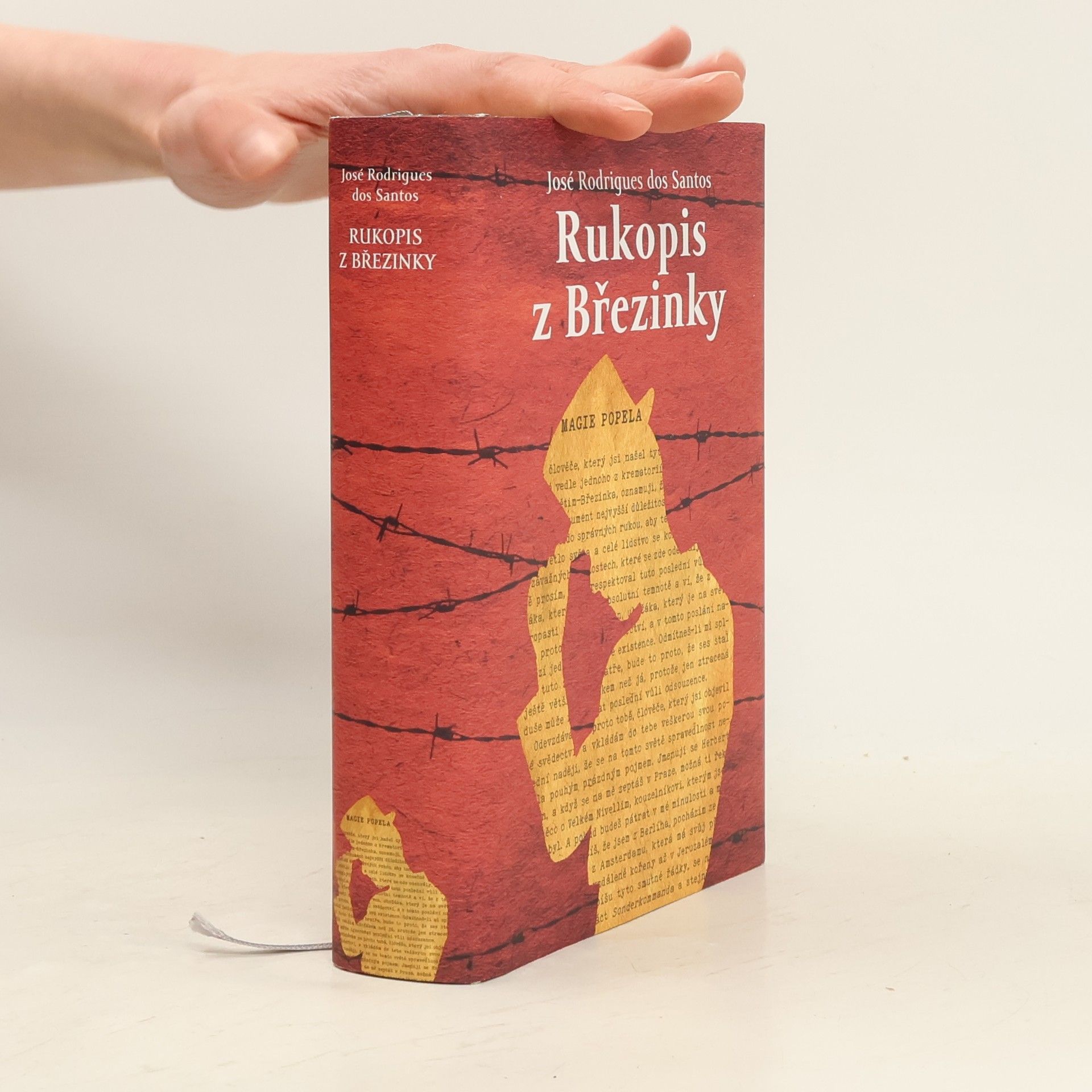 José Rodrigues dos Santos Rukopis z Březinky