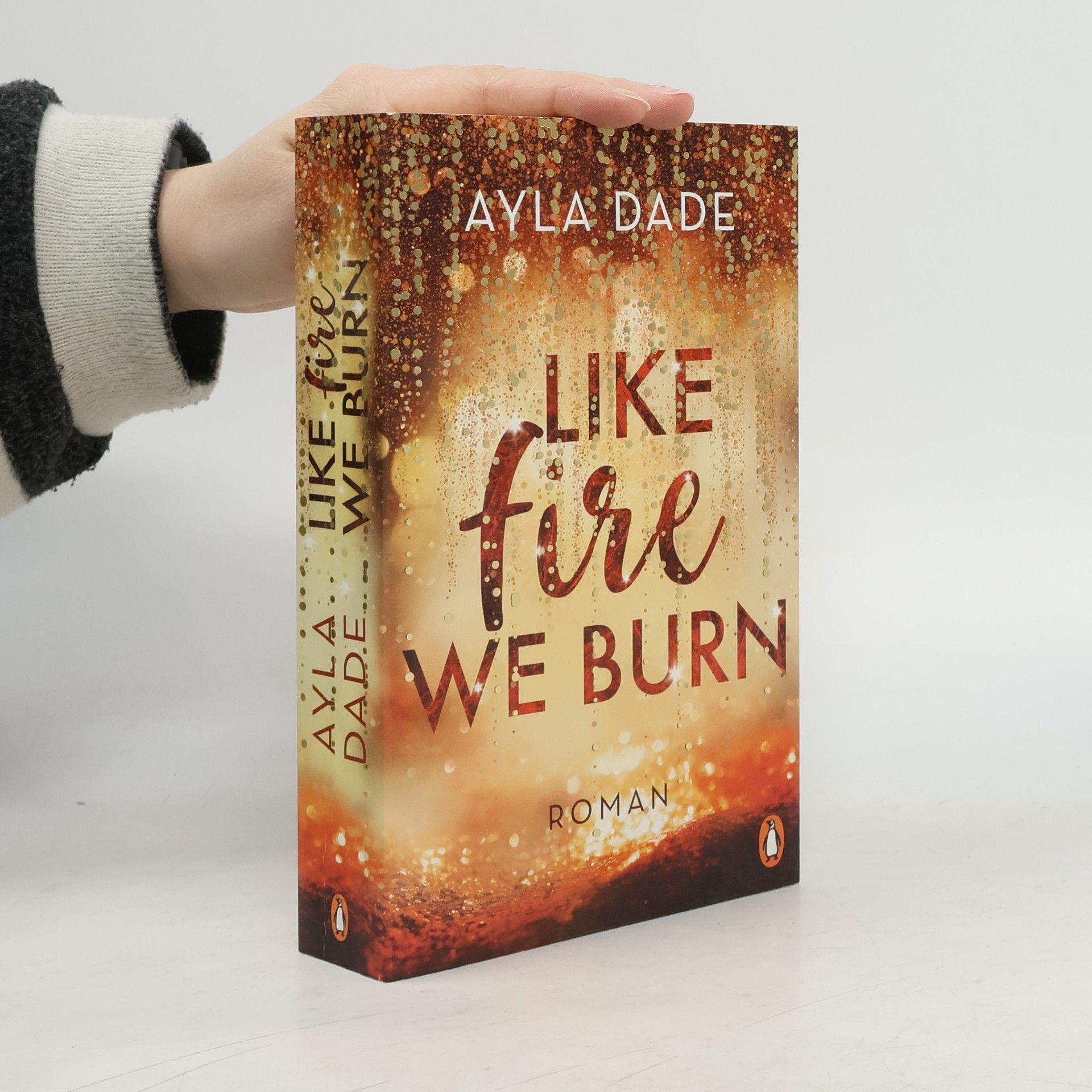 Ayla Dade Like Fire We Burn