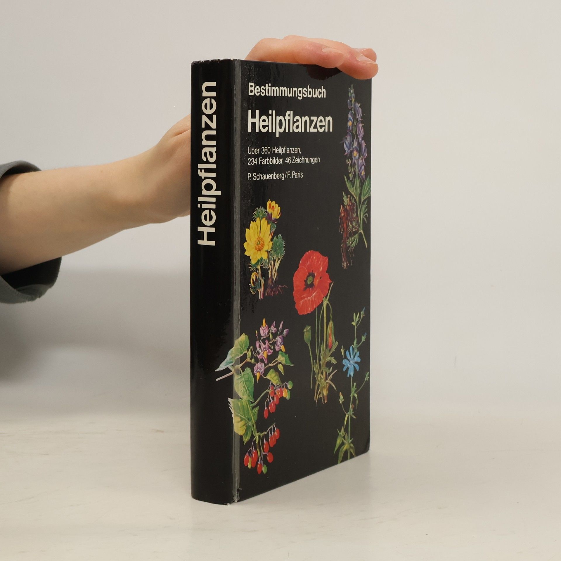 Kolektiv autorů Bestrimmungsbuch. Heilpflanzen