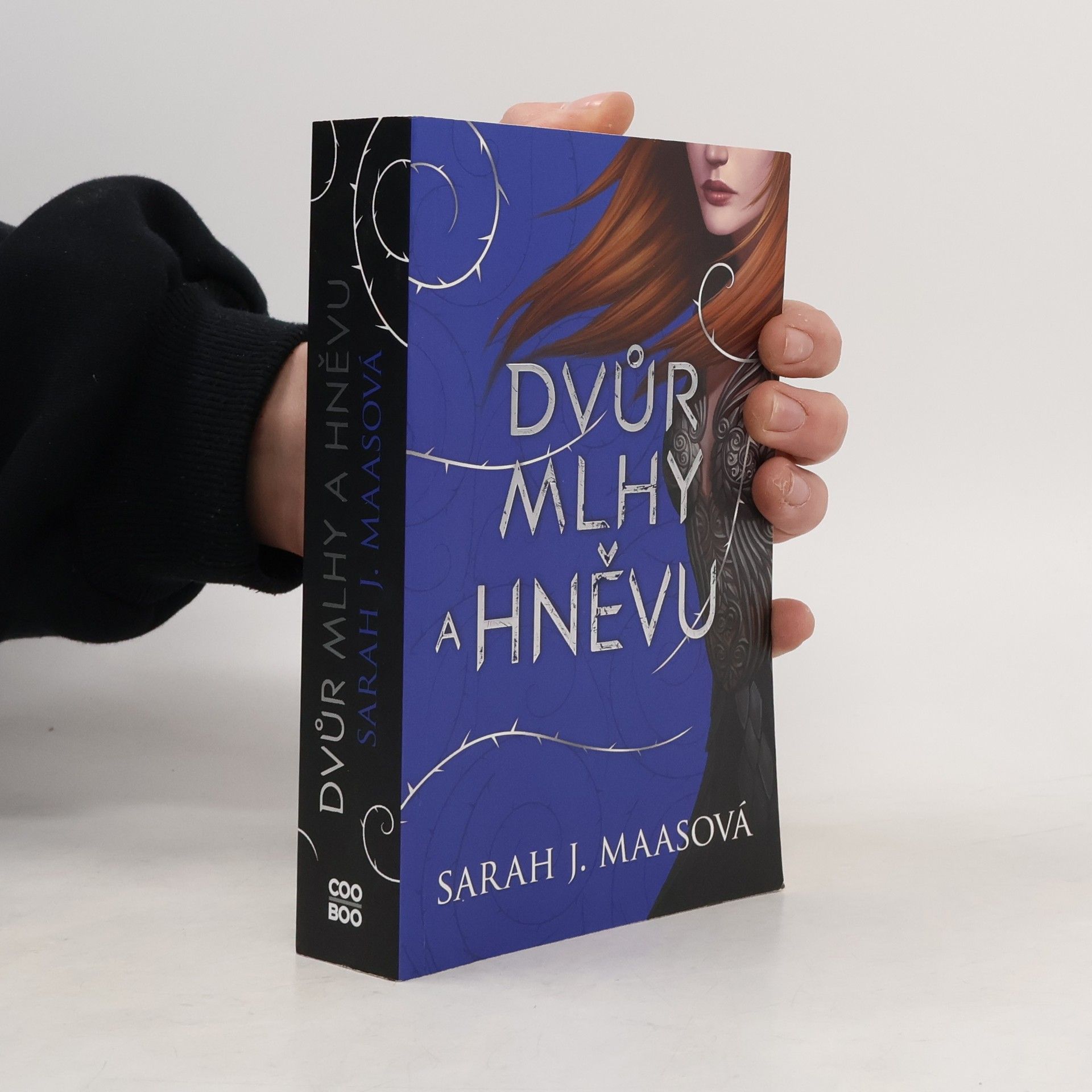 Sarah J. Maas Dvůr mlhy a hněvu