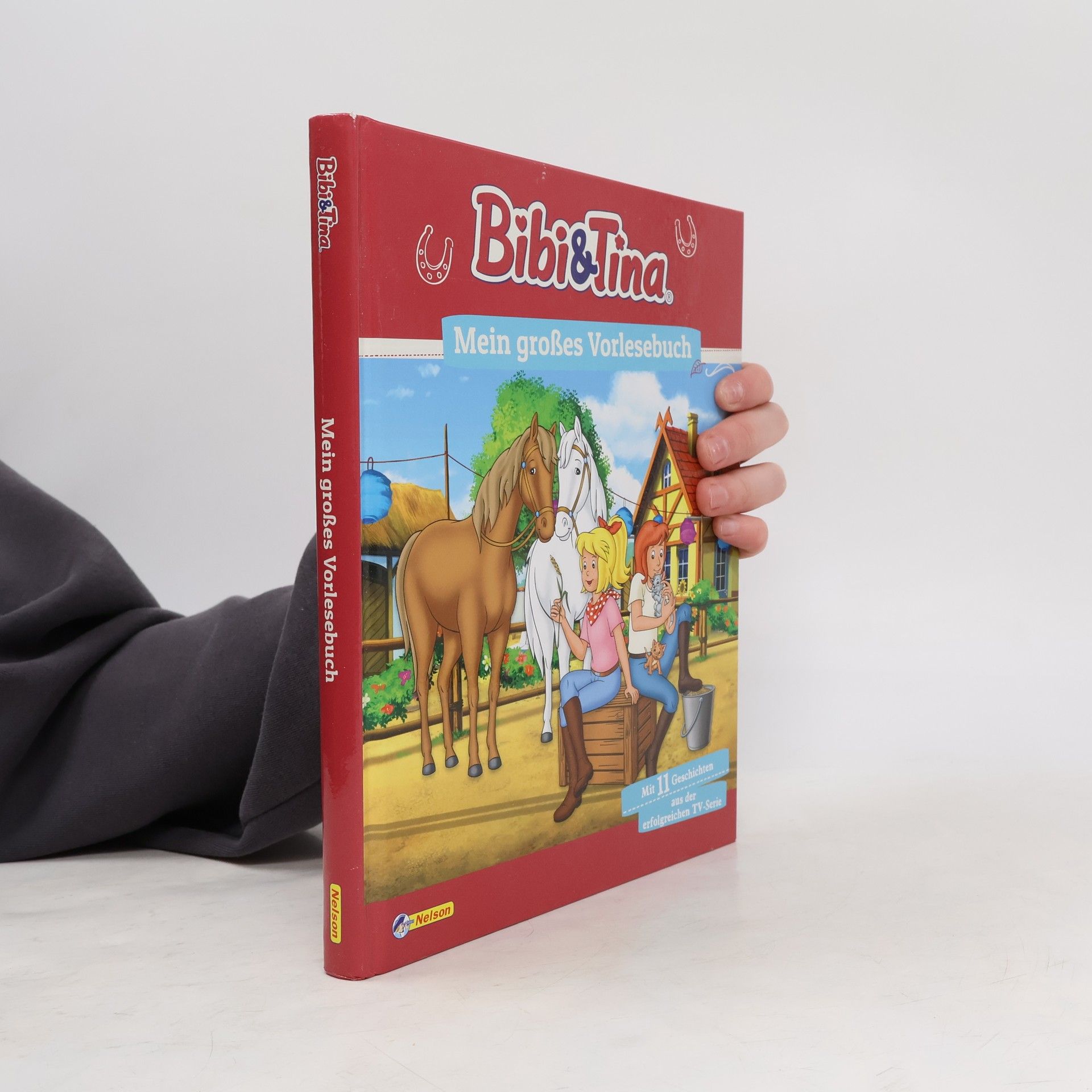 Auteurscollectief Bibi und Tina - mein großes Vorlesebuch