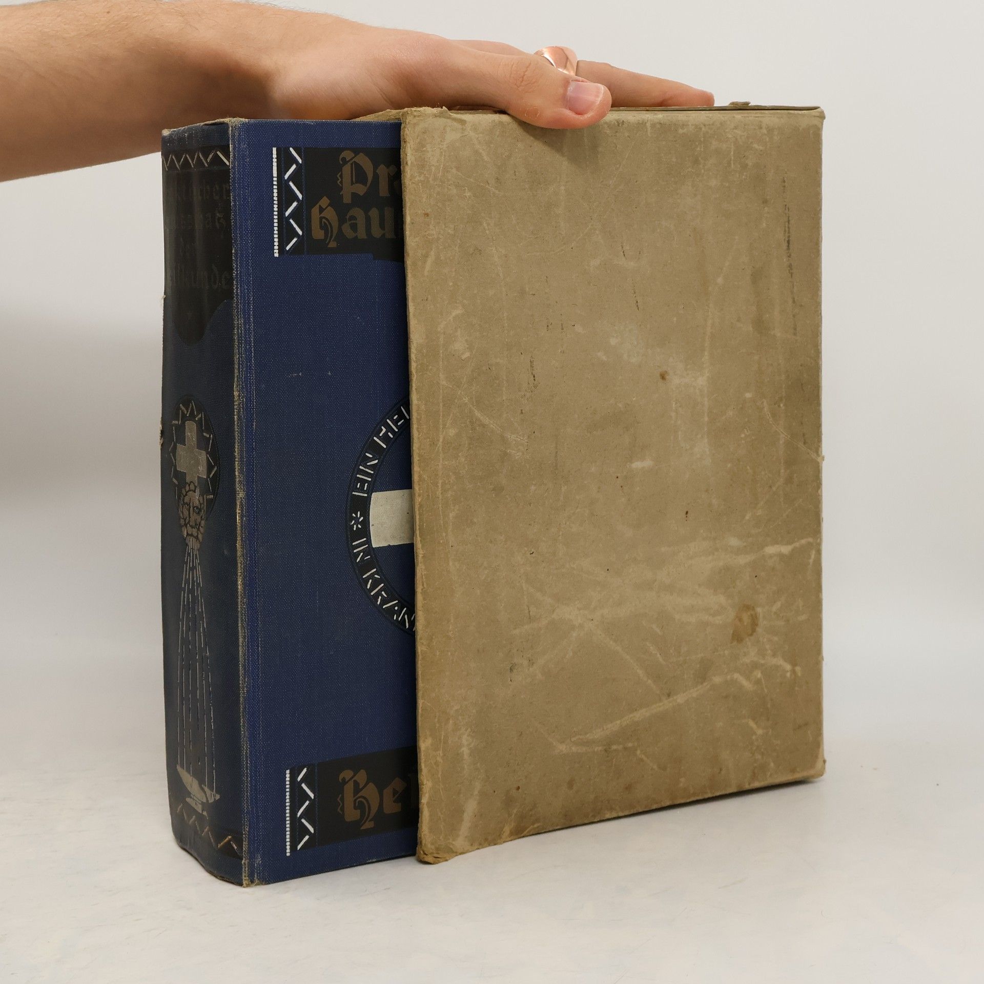 Paula Bergmann Praktischer Hausschah der Heilkunde