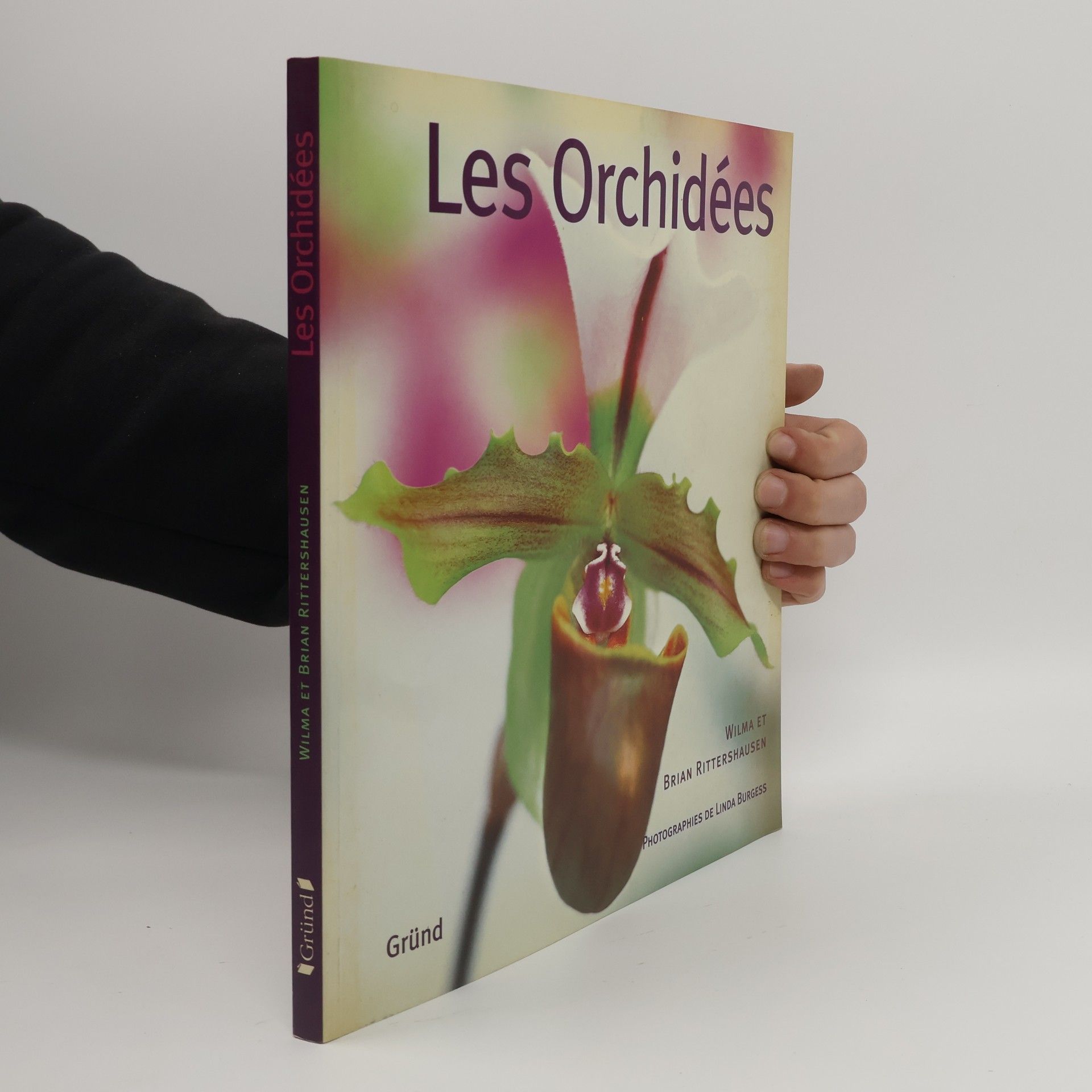 Les orchidées
