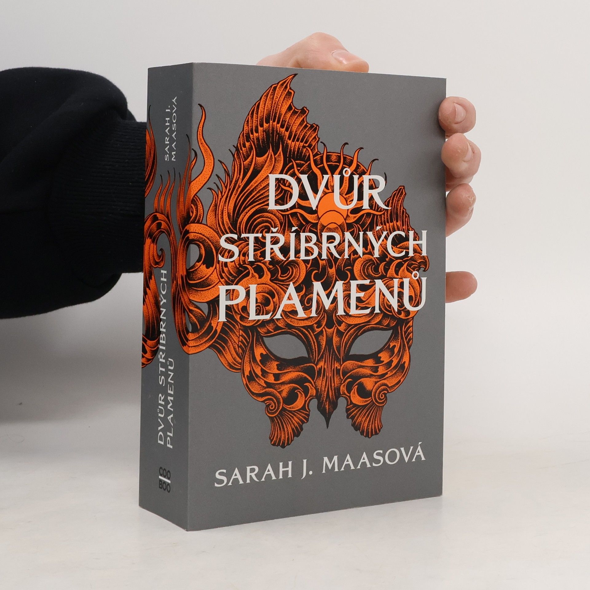 Sarah J. Maas Dvůr stříbrných plamenů