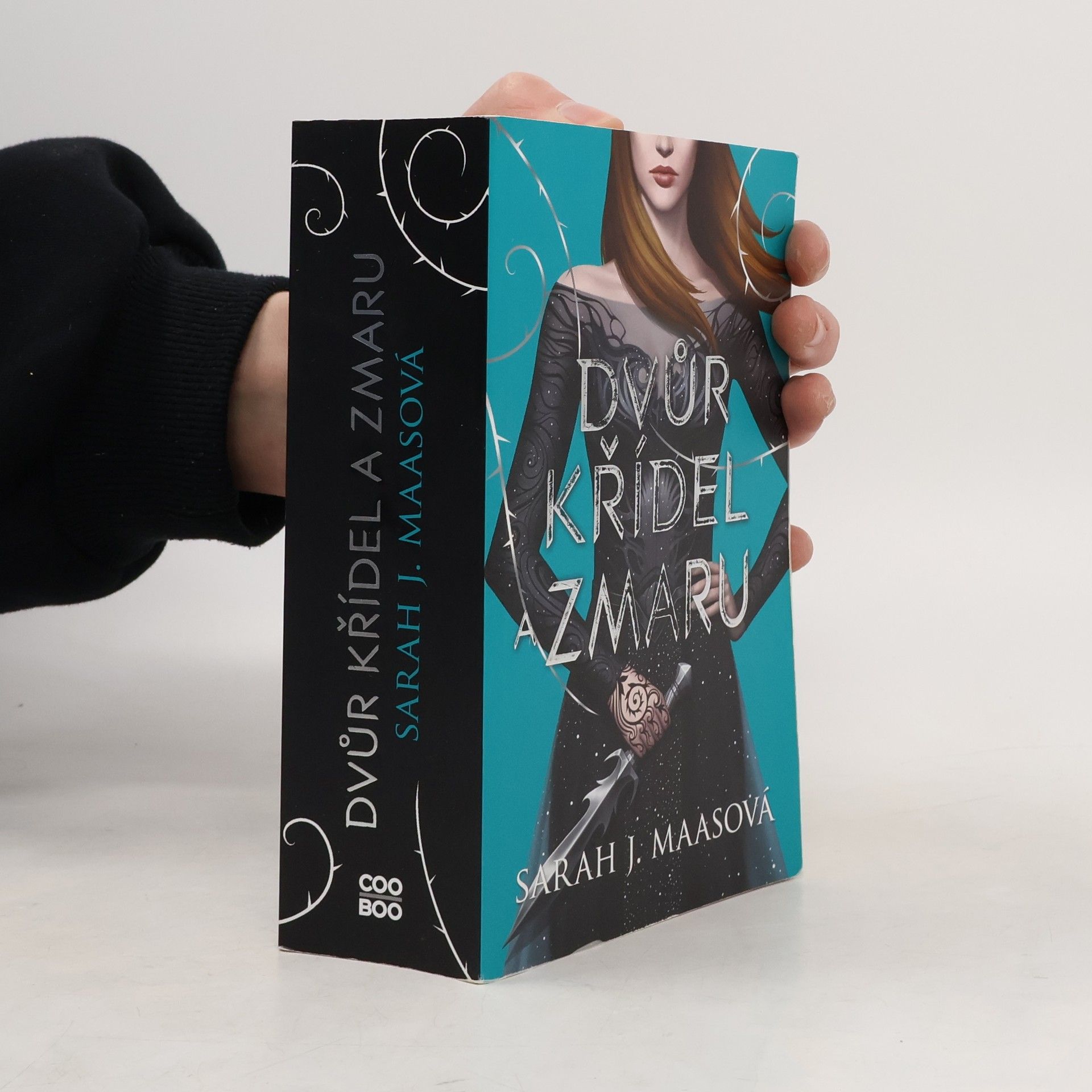 Sarah J. Maas Dvůr křídel a zmaru