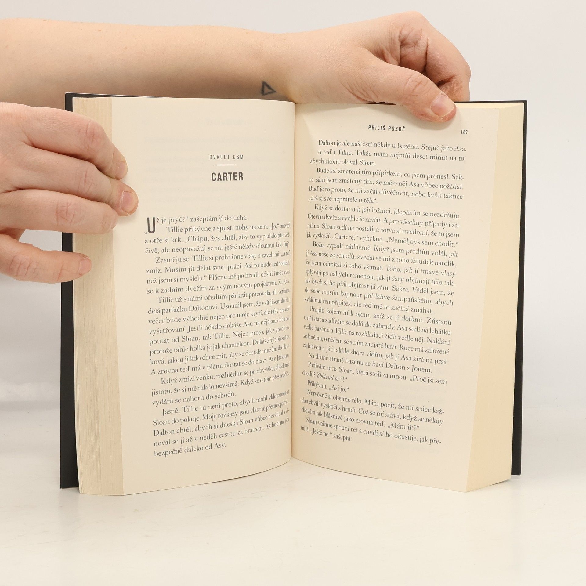 Colleen Hoover Příliš pozdě