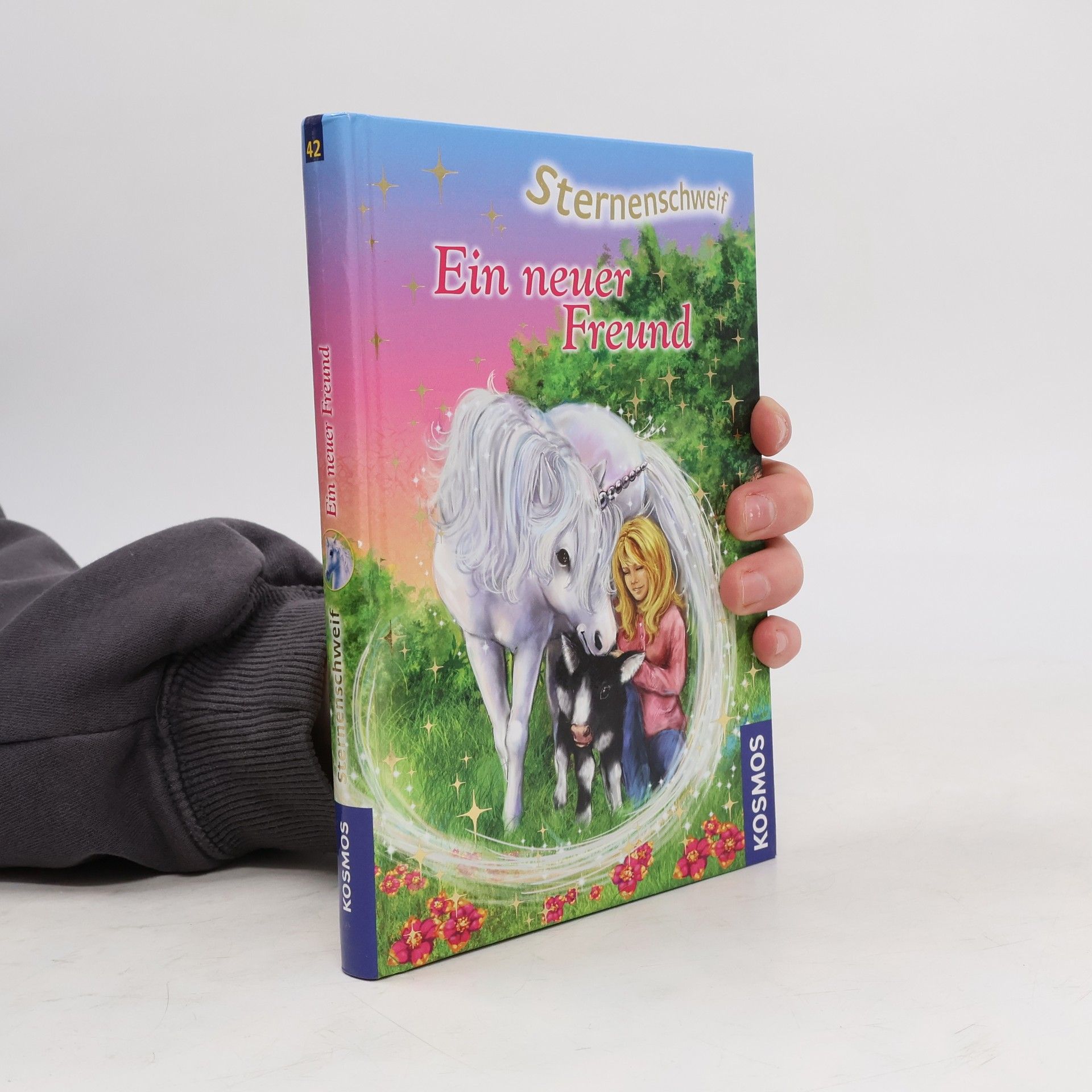 Linda Chapman Sternenschweif : Ein neuer Freund