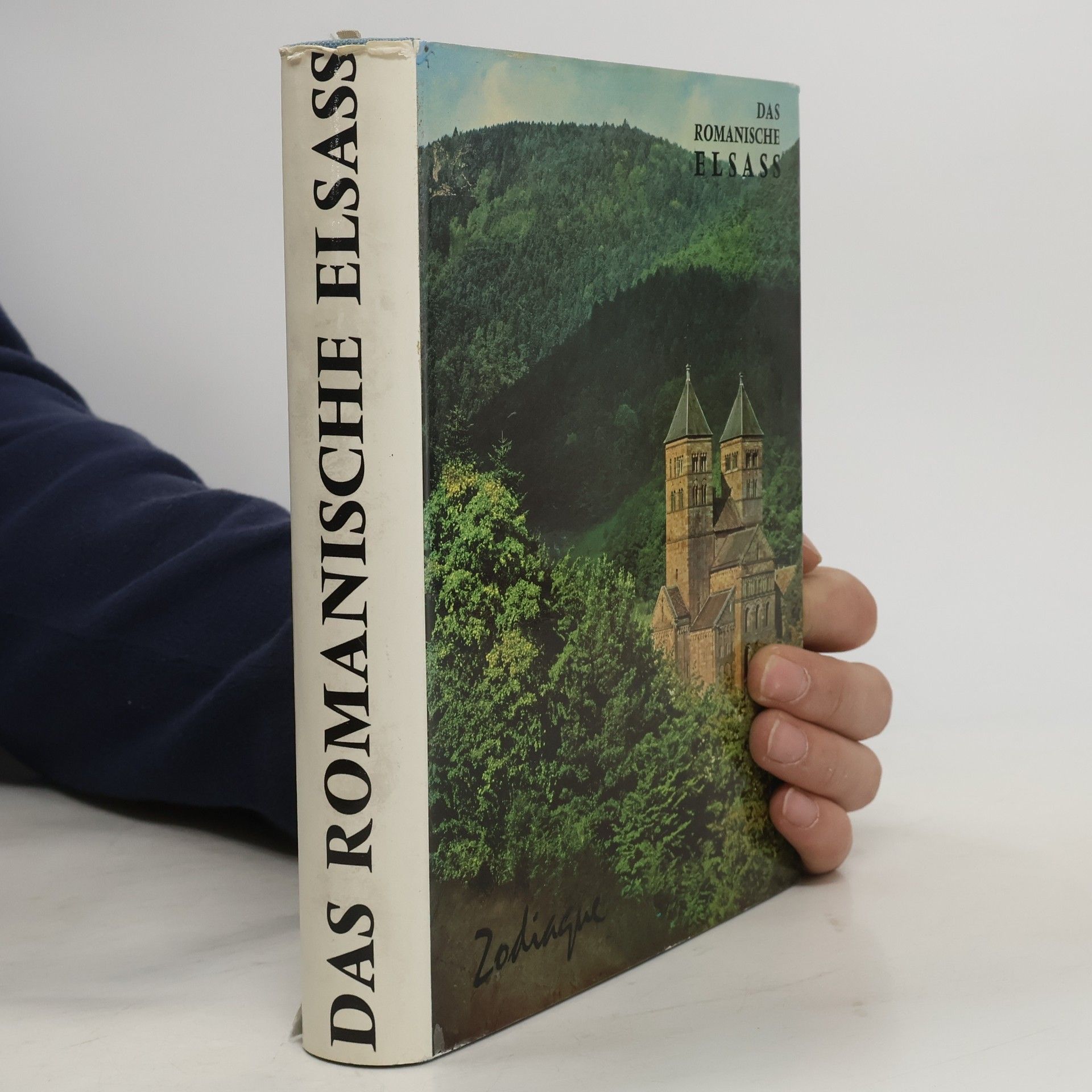 Kolektiv autorů Das Romanisches Elsass