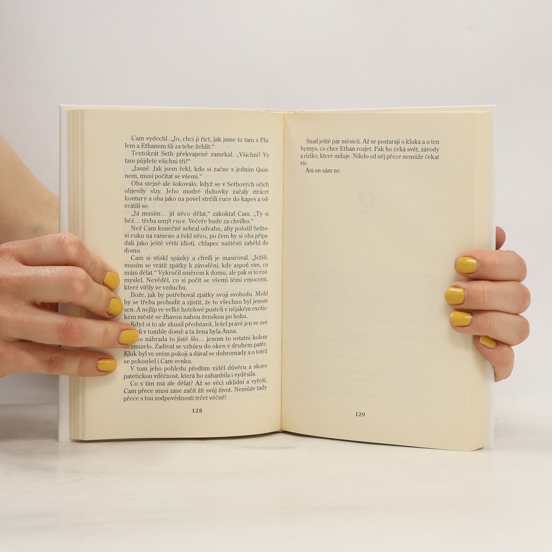 Nora Roberts Past na dobrodruha