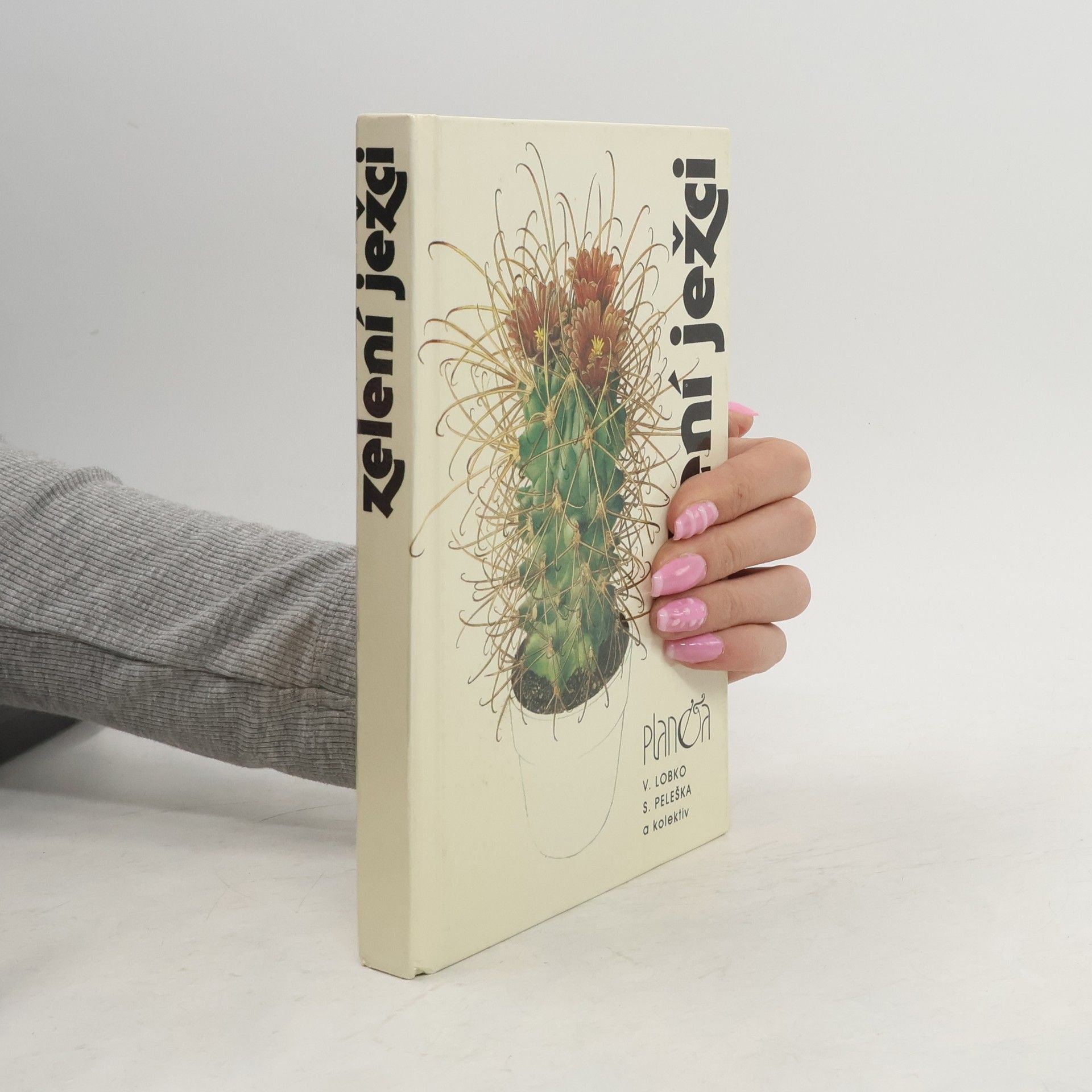 Valerij Dmitrijevič Lobko Zelení ježci